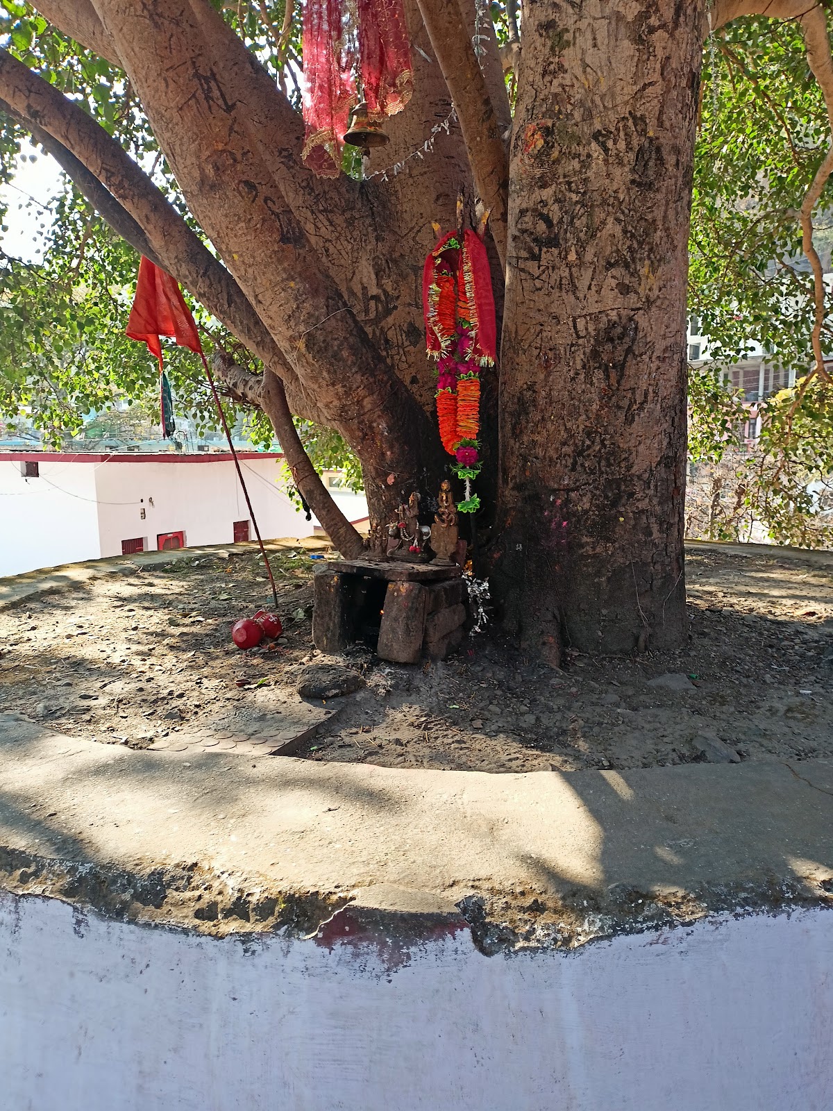 Karnaprayag Viewpoint