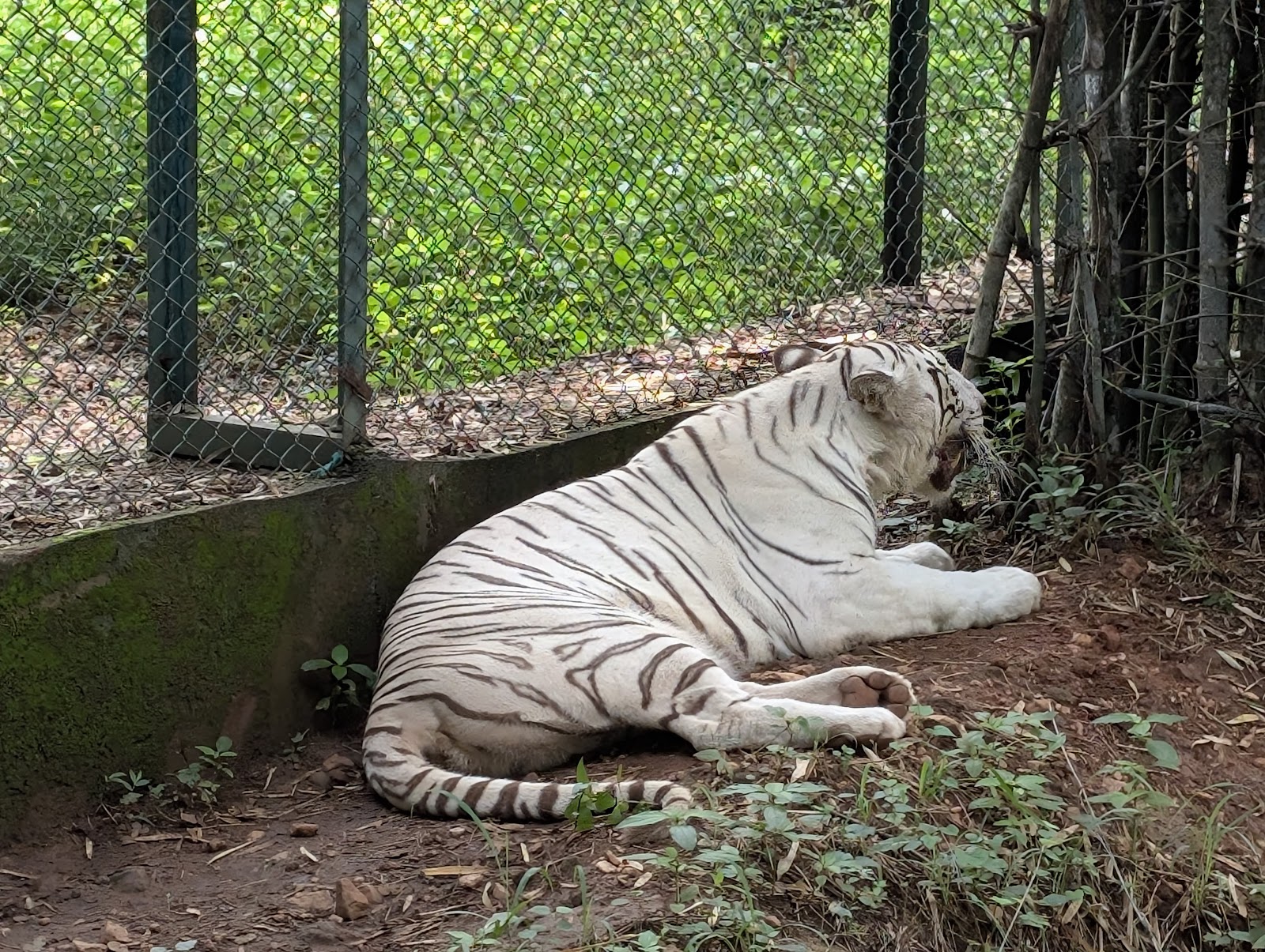 Bannerghatta National Park
