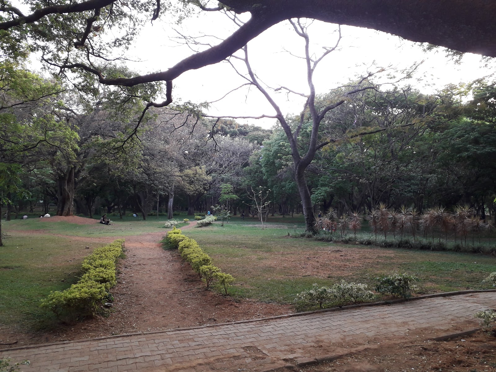 Cubbon Park