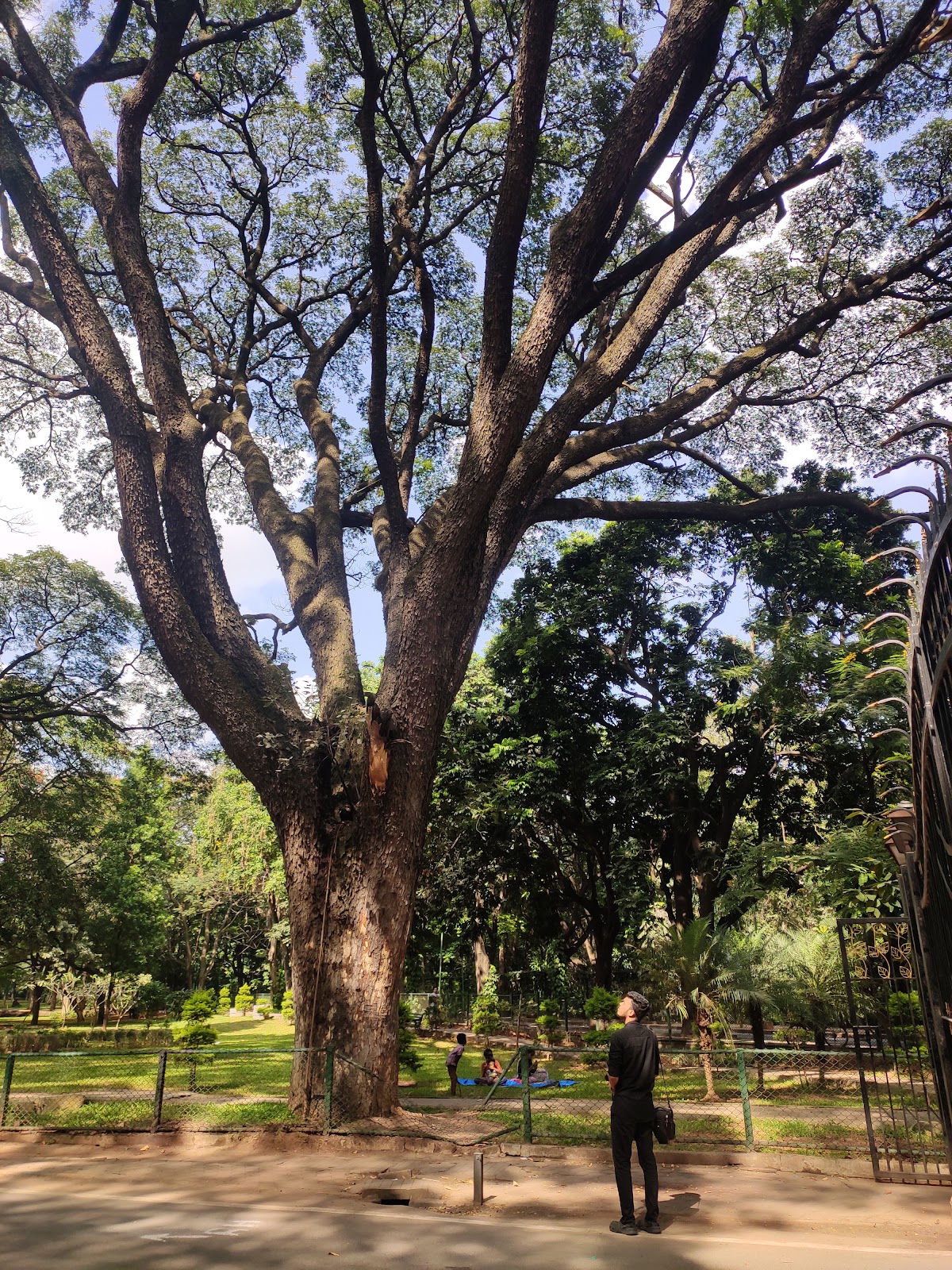 Cubbon Park
