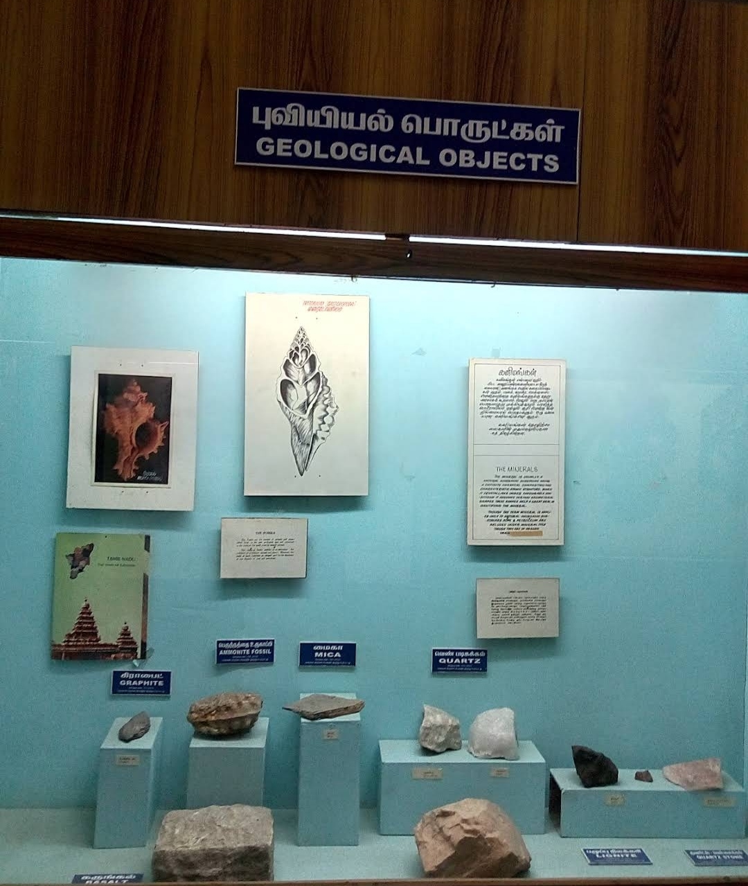 Government Museum