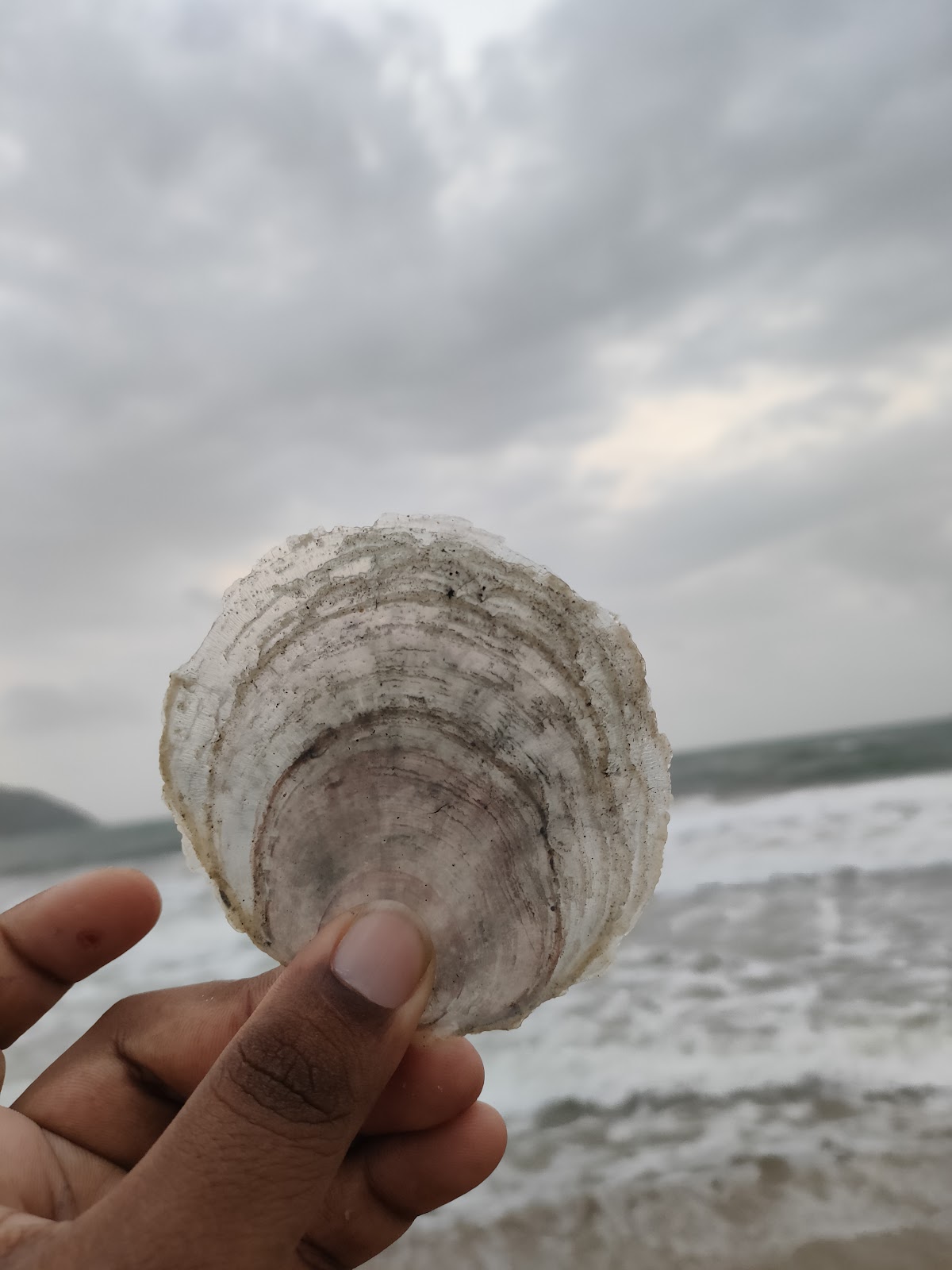 Rabindranath Tagore Beach