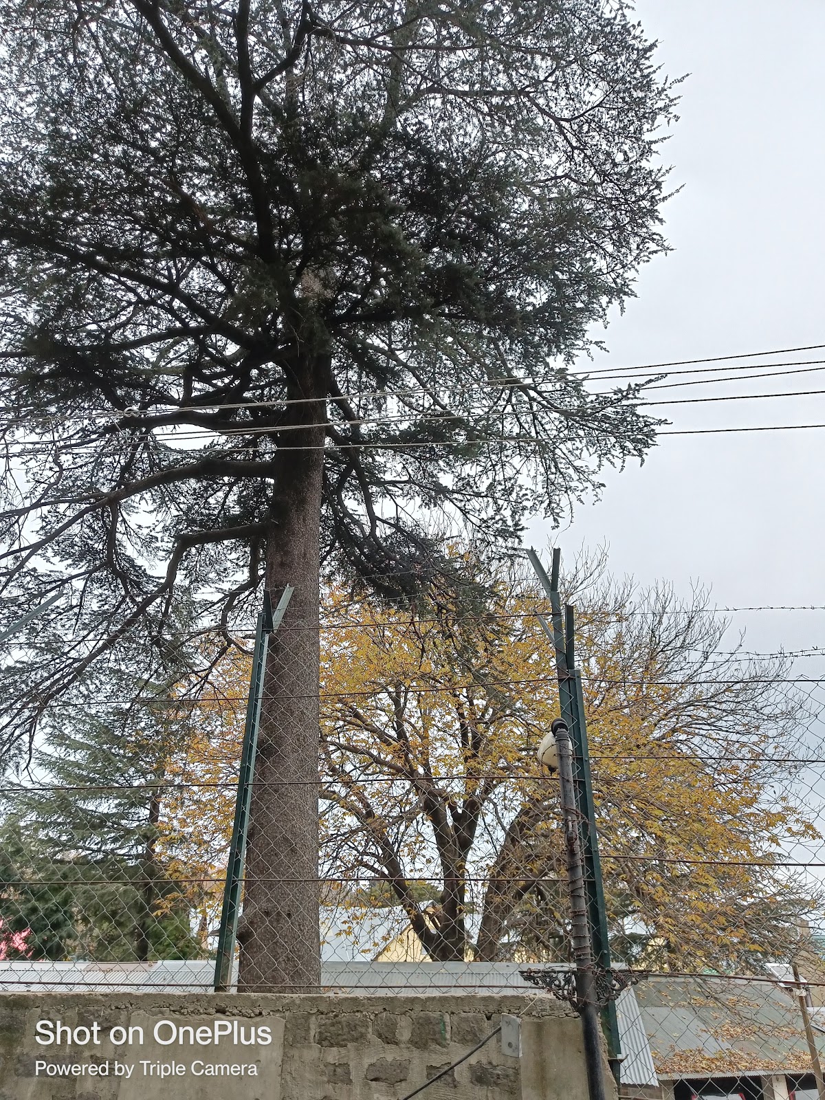 Christ Church Kasauli