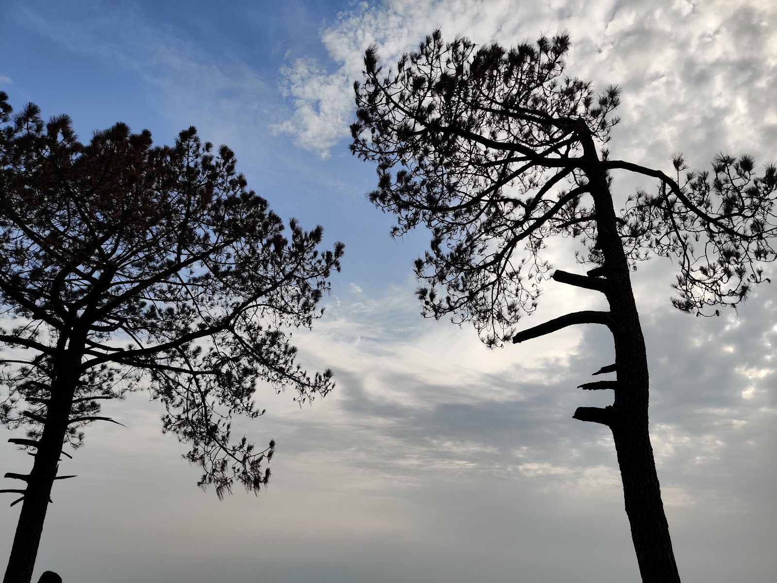 Sunset Point Kasauli