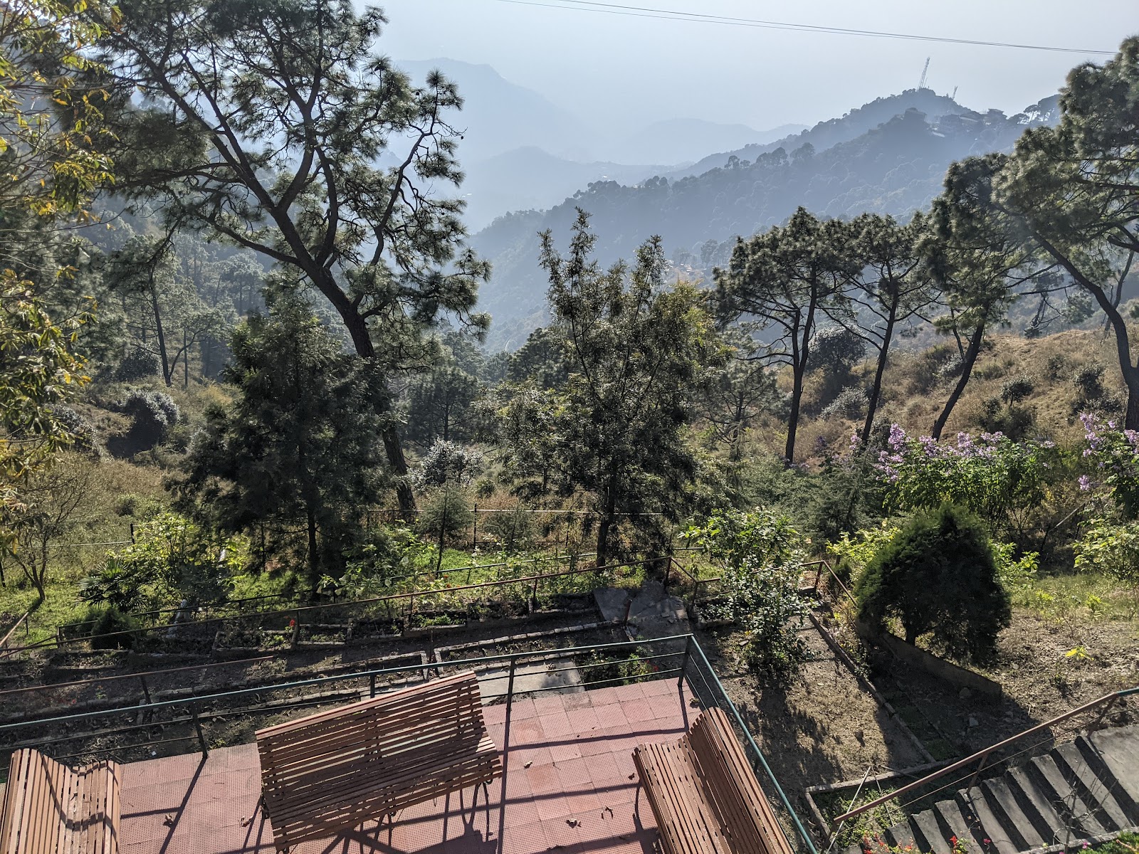 Kasauli Club