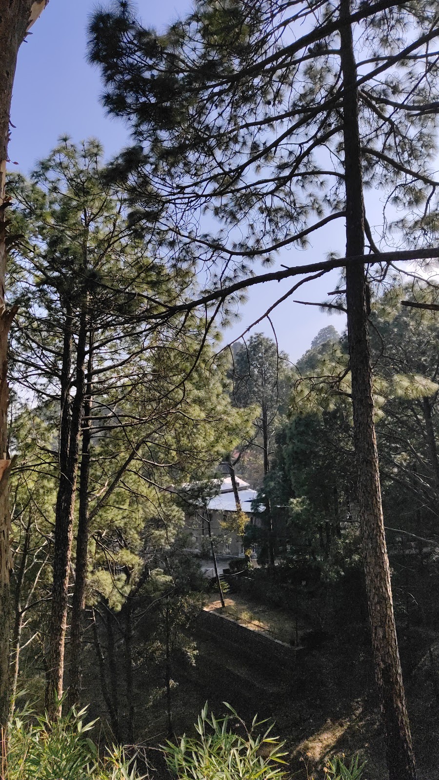 Kasauli Heritage Walk