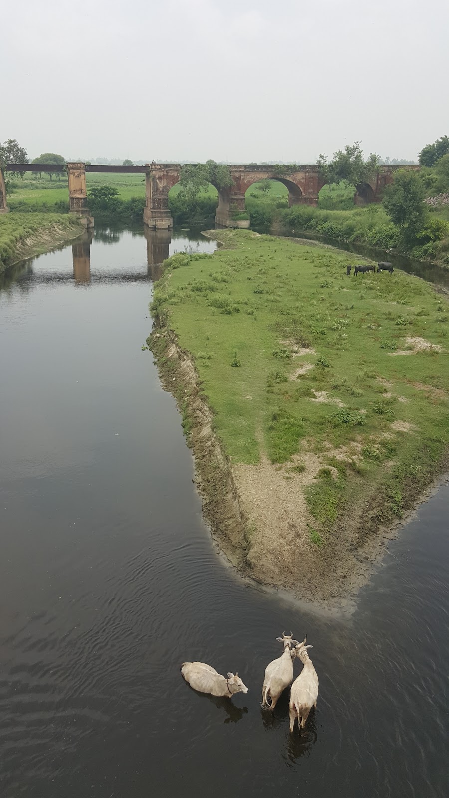 Ganga Canal Viewpoint Kasganj