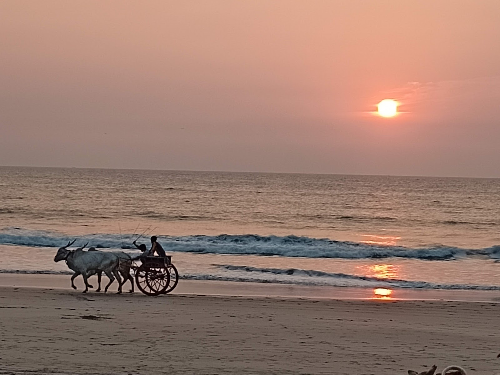 Phansad Wildlife Sanctuary