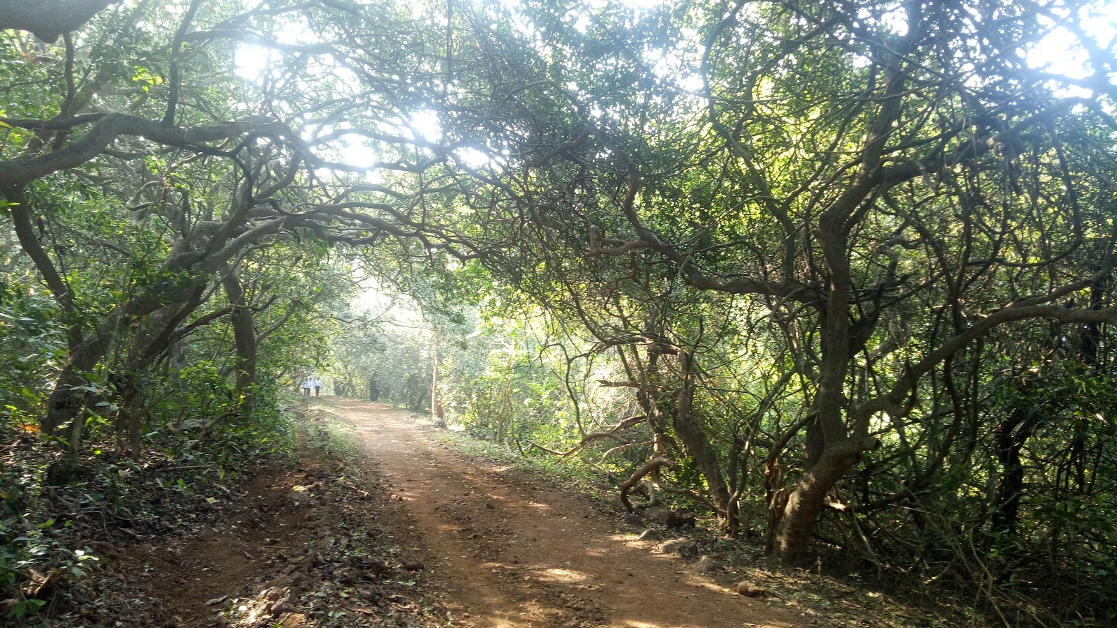 Phansad Wildlife Sanctuary