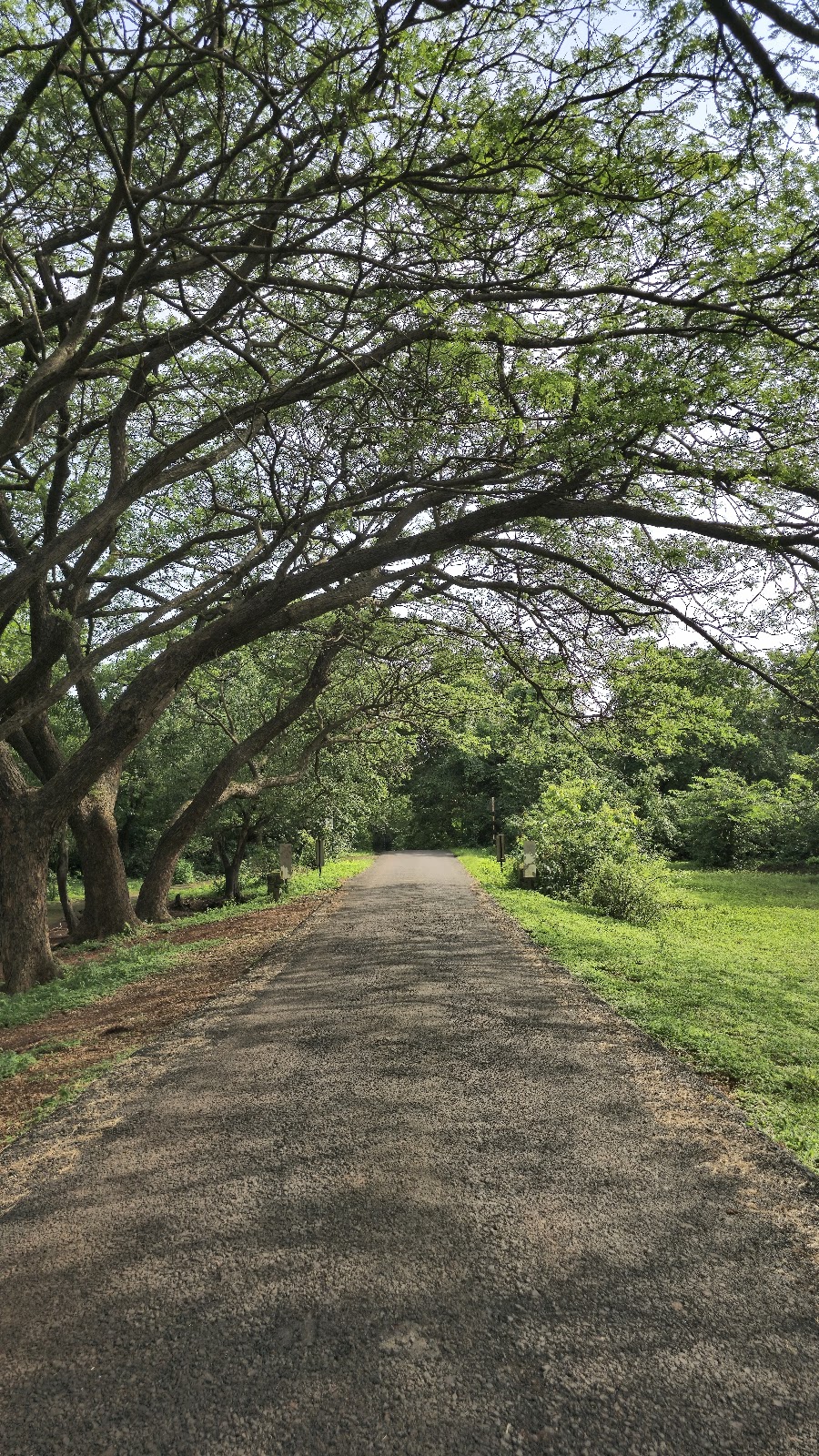 Phansad Wildlife Sanctuary