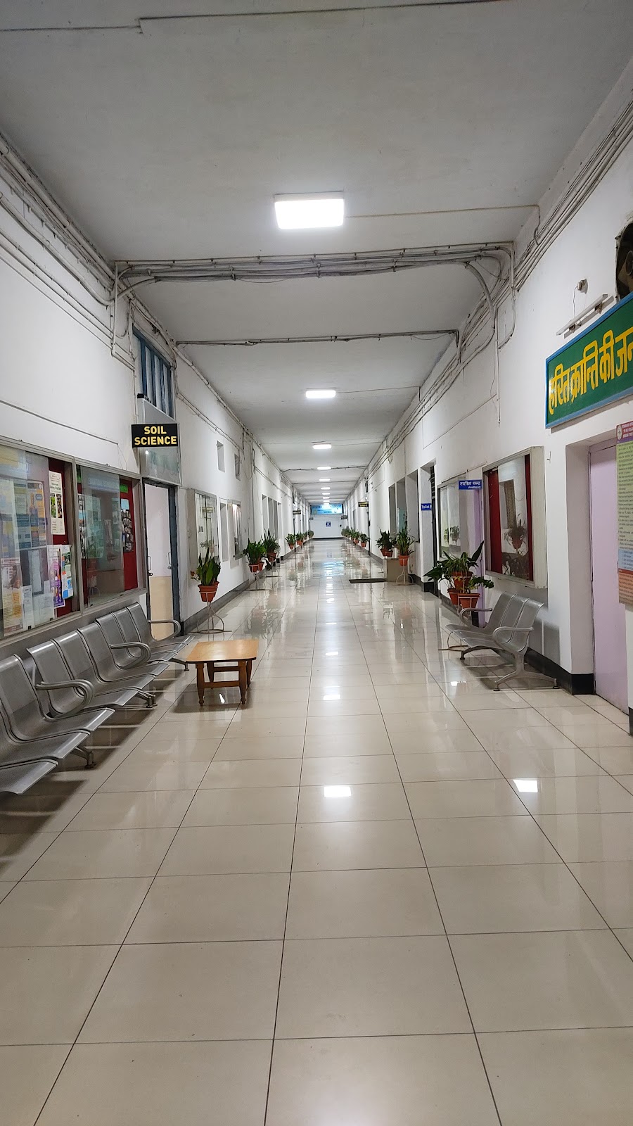 Pantnagar University