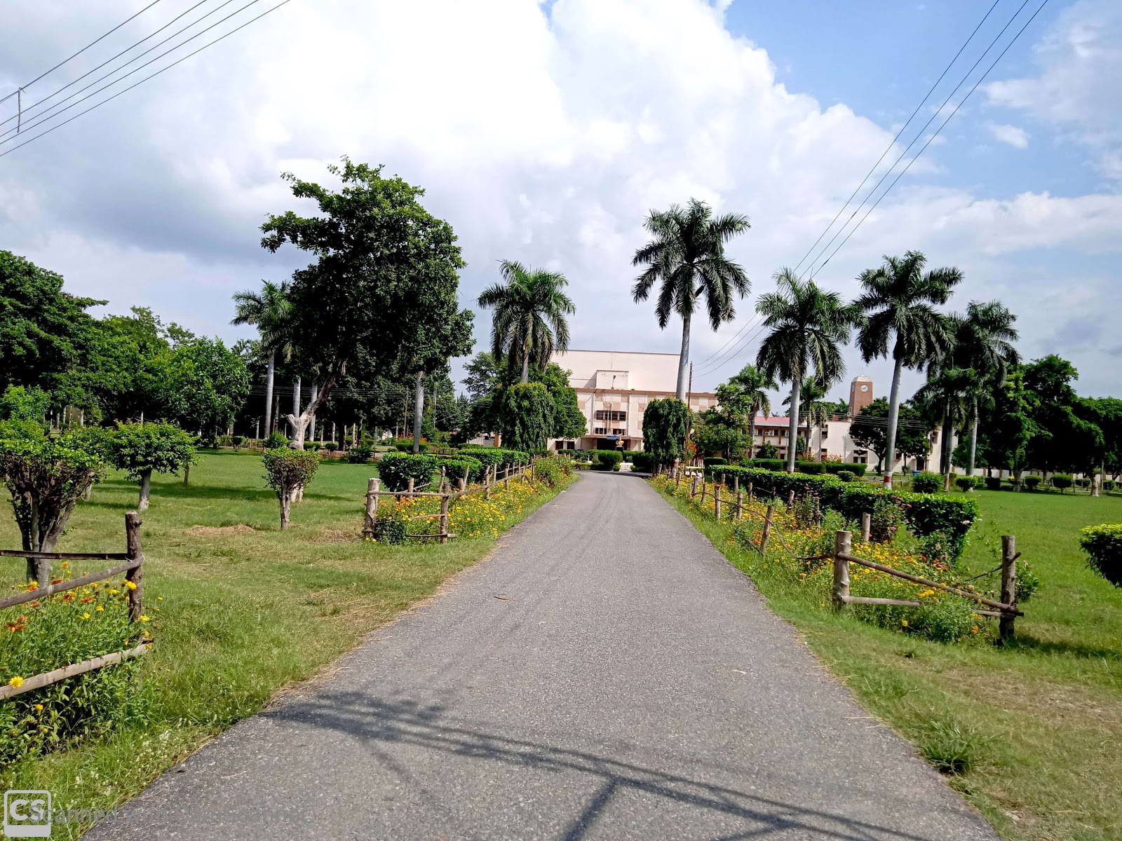 Pantnagar University