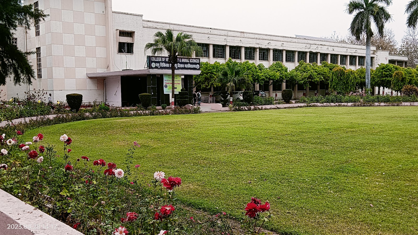 Pantnagar University