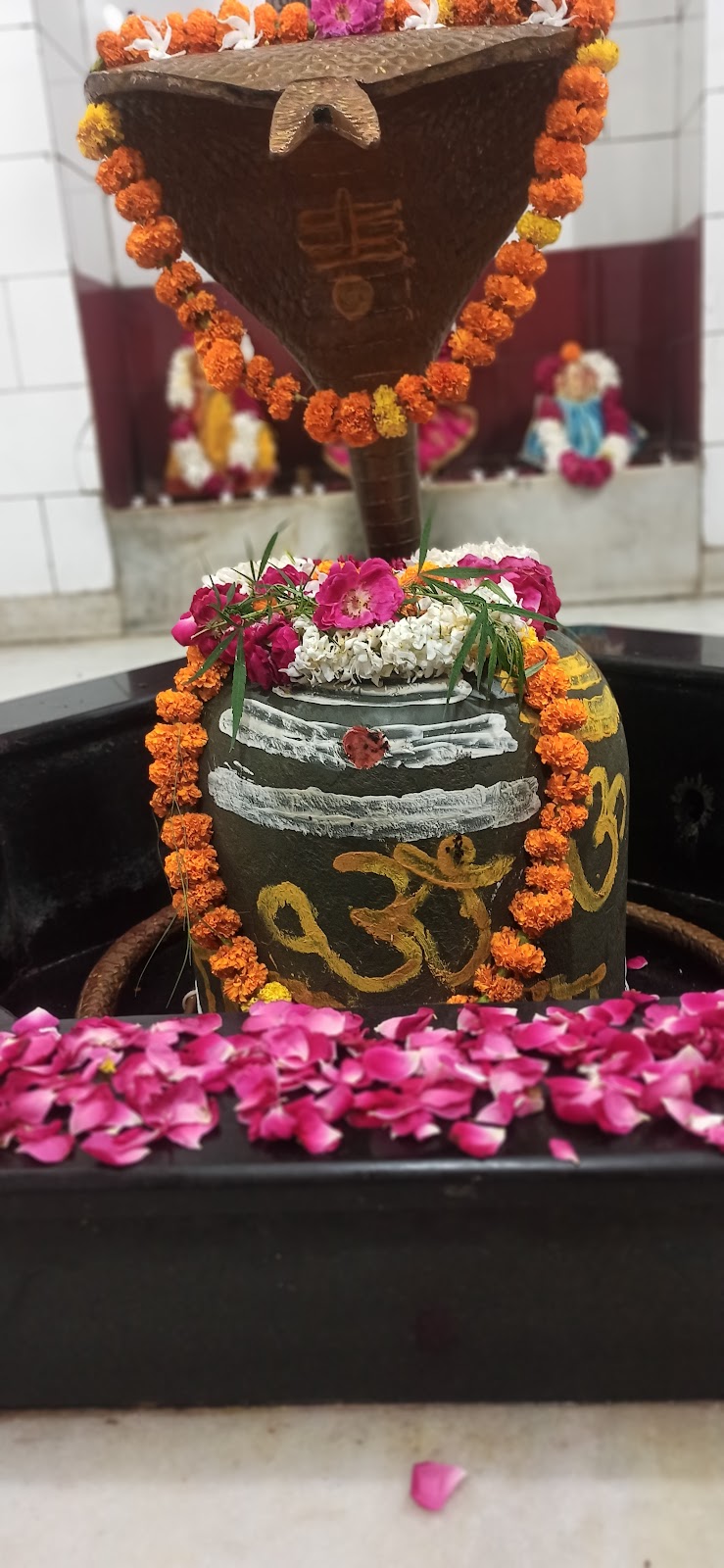 Shree Hari Mandir
