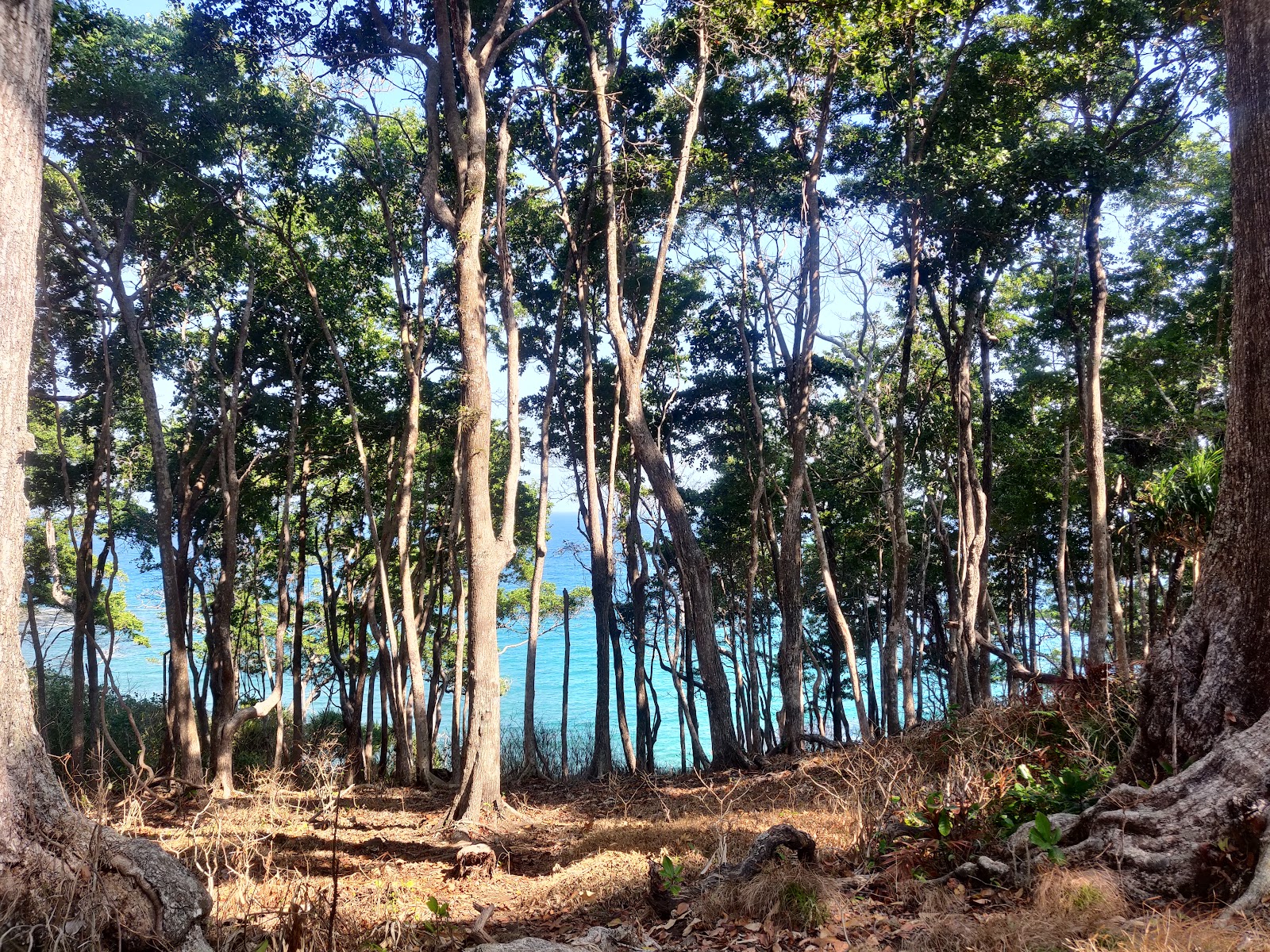 Mango Hill Viewpoint