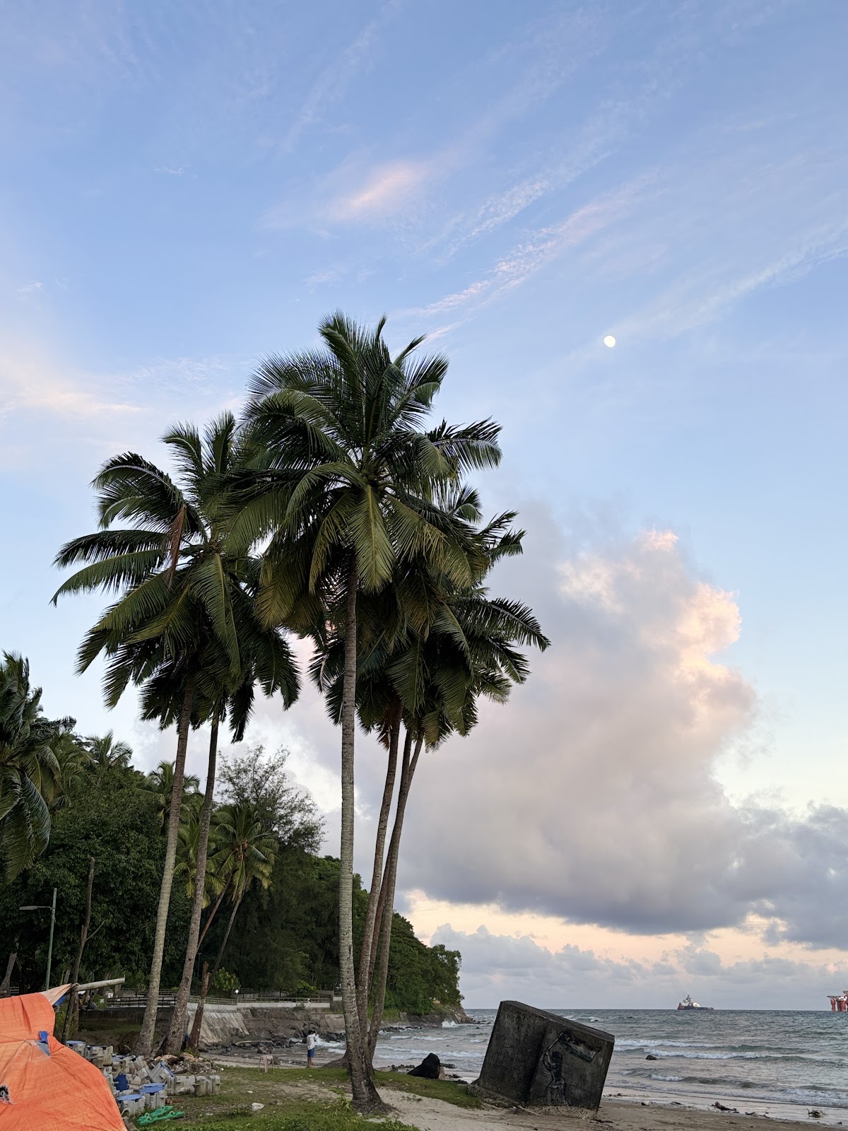 Shell Collection Beach
