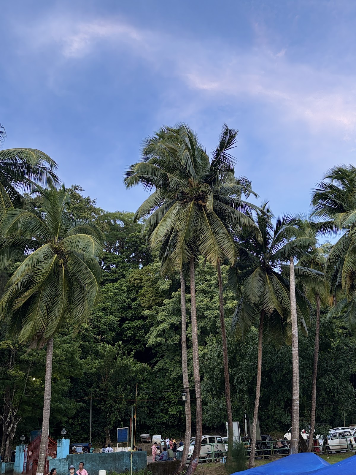 Shell Collection Beach