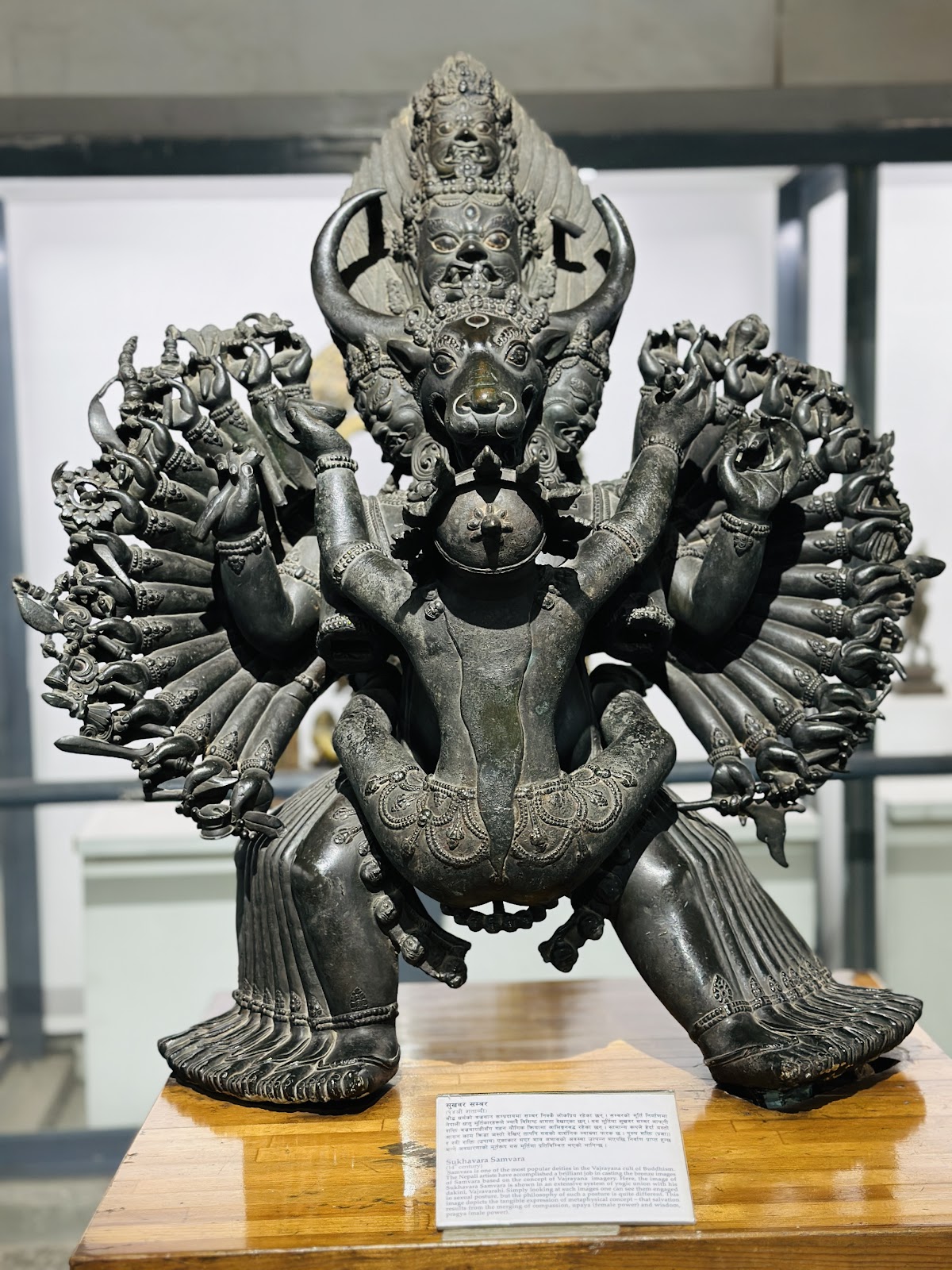 National Museum of Nepal