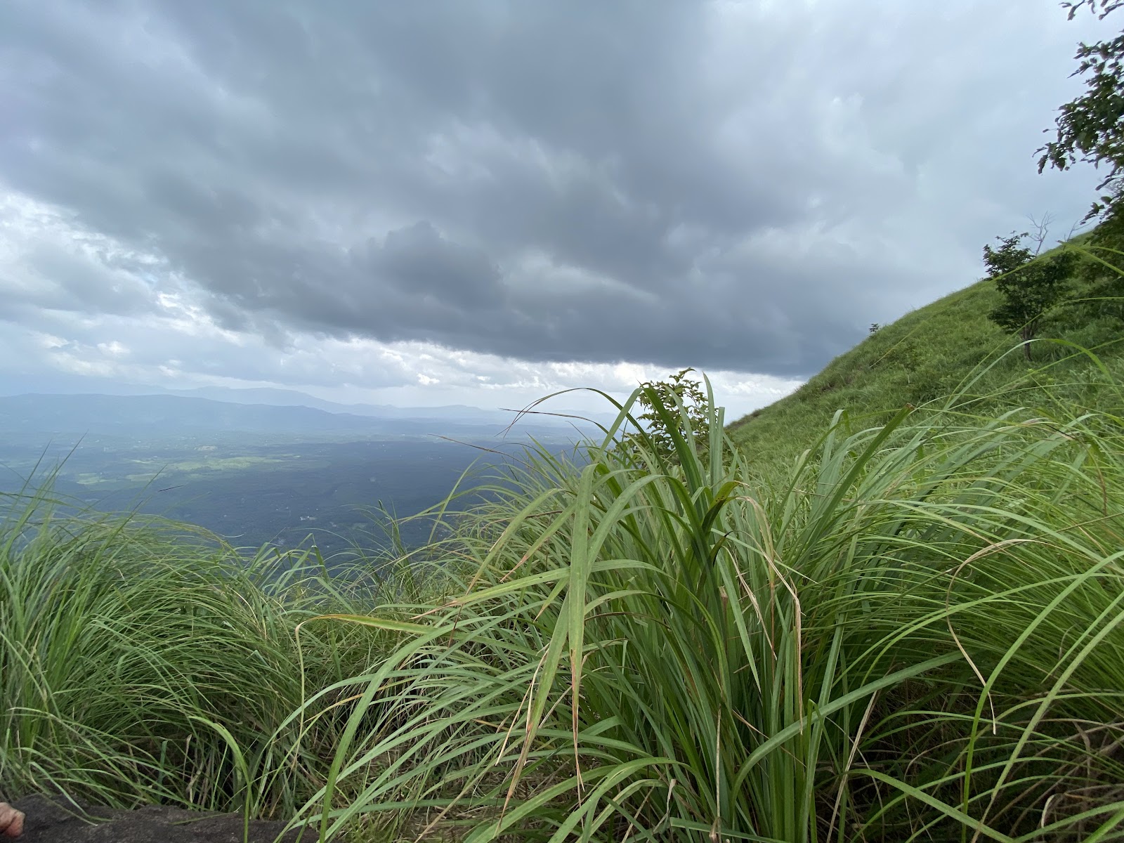Kattadikkadavu View Point