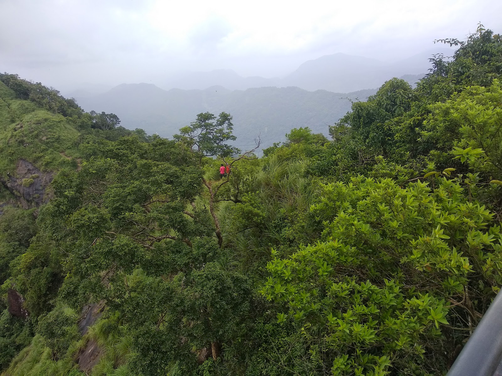 Kattadikkadavu View Point