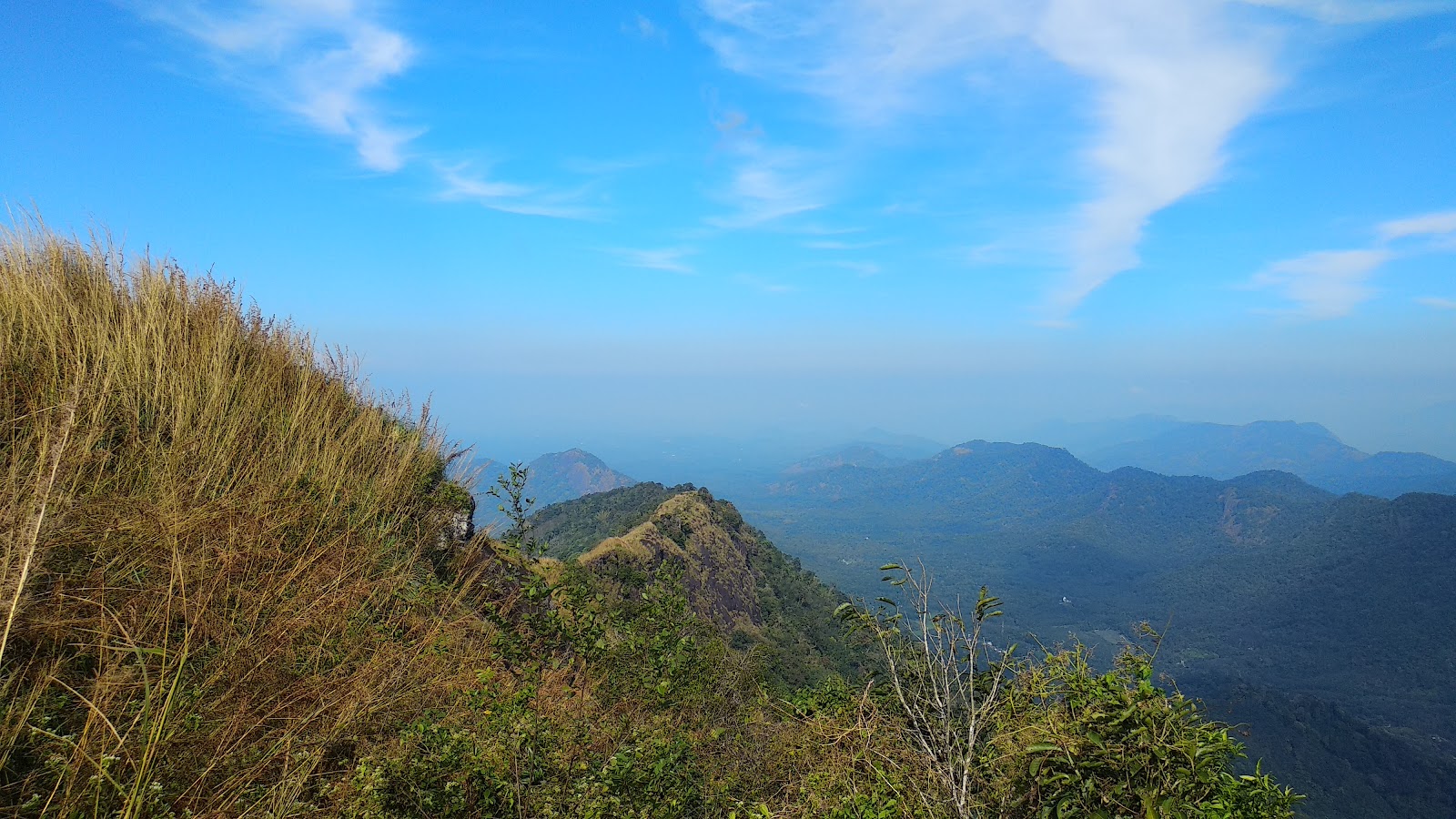 Kattadikkadavu View Point