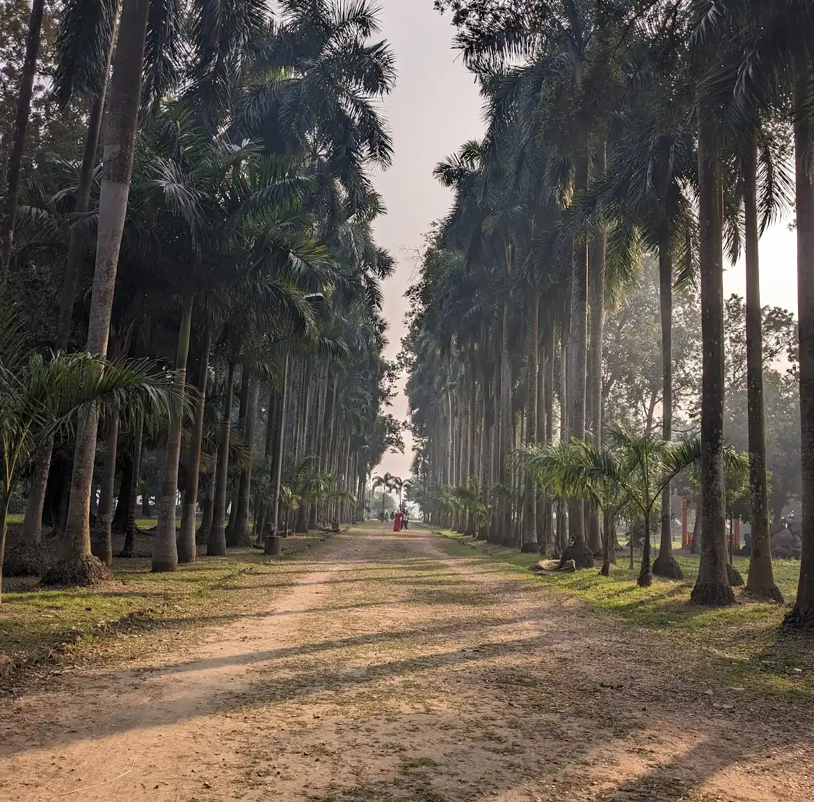 Shibpur Botanical Garden