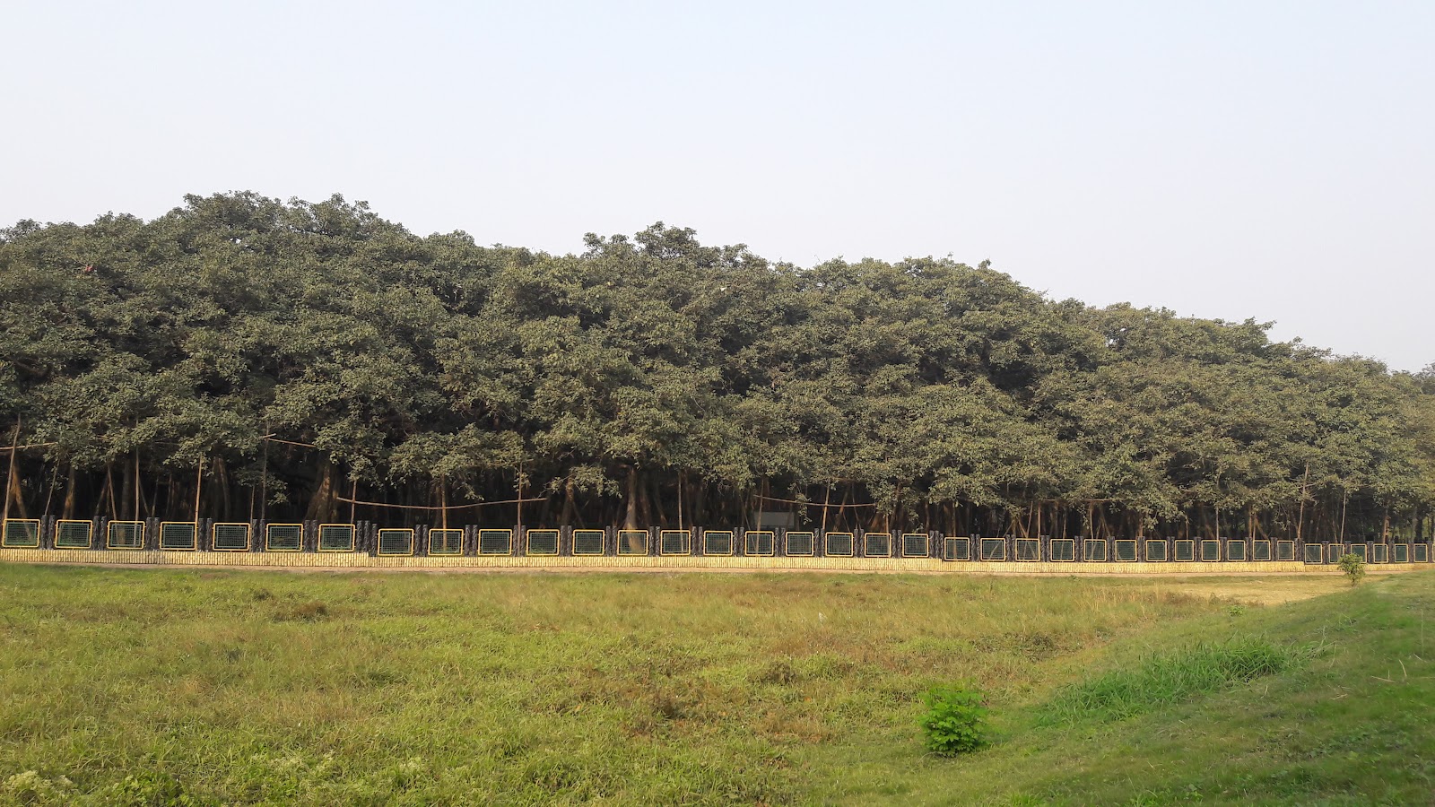 Shibpur Botanical Garden