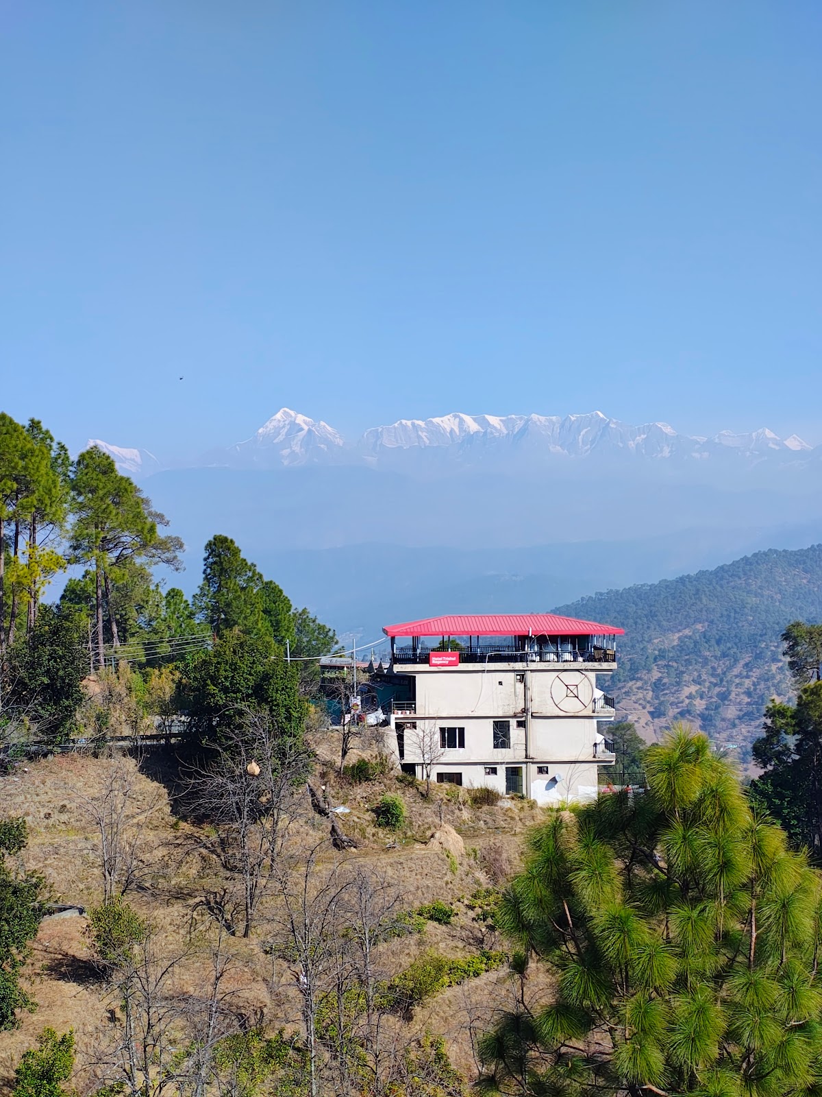 Kausani Tea Estate