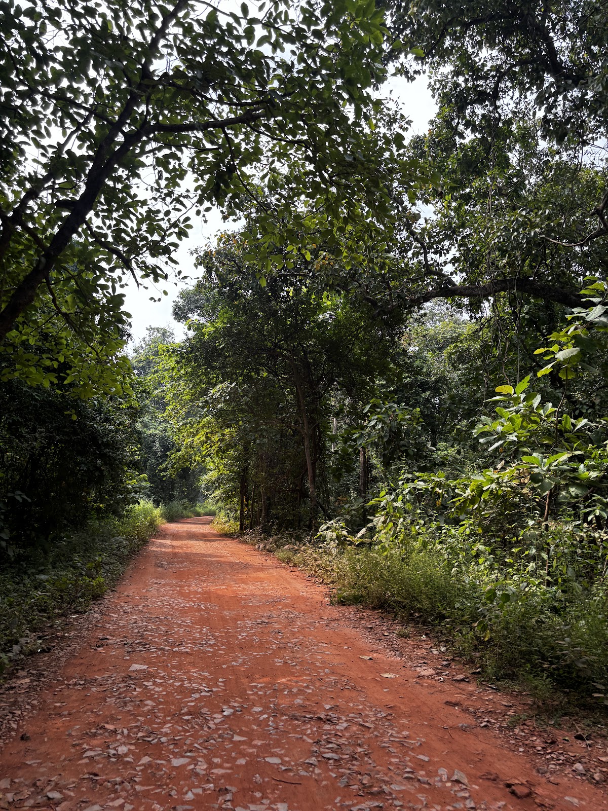Kawardha Wildlife Sanctuary