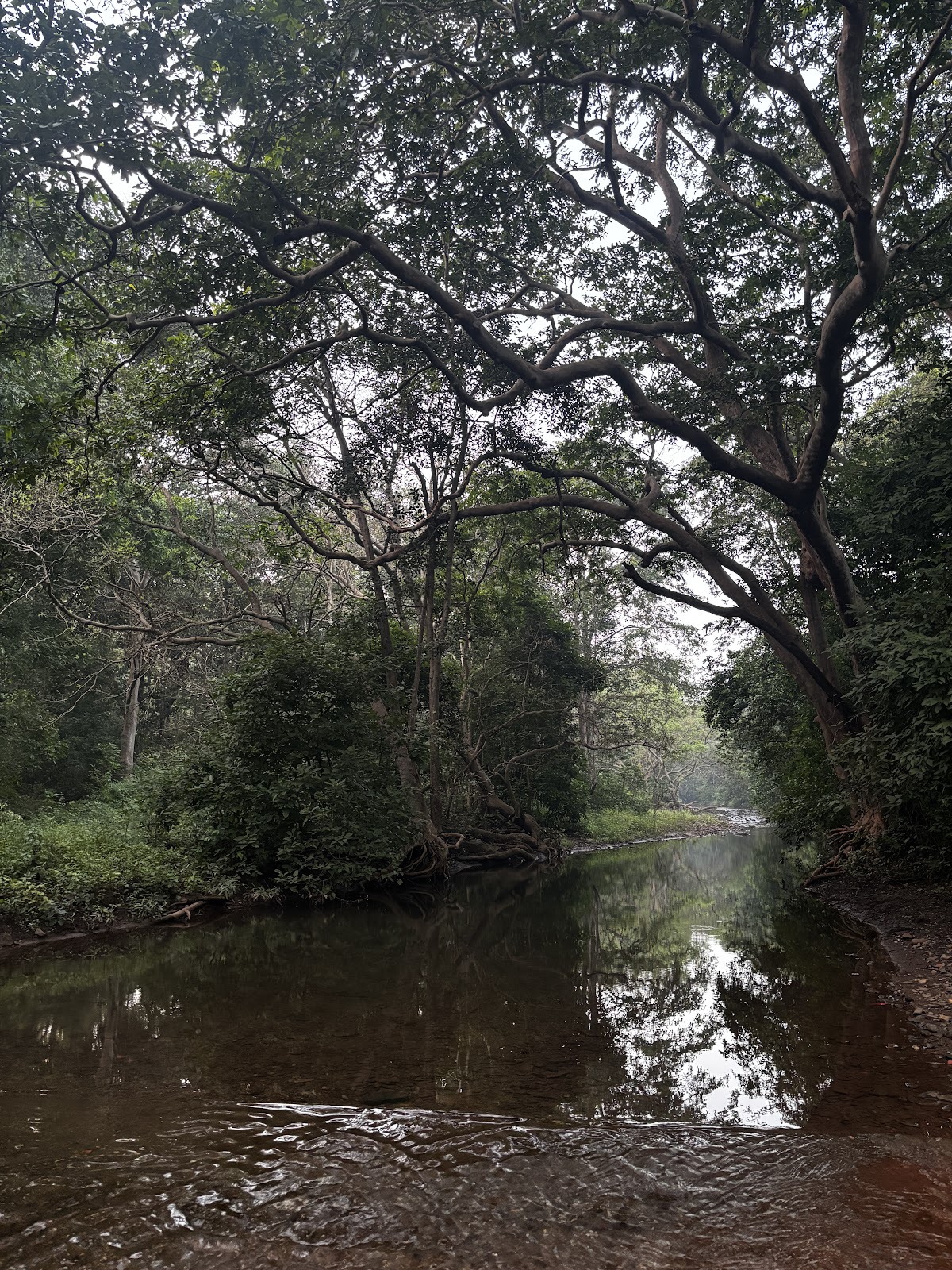 Kawardha Wildlife Sanctuary