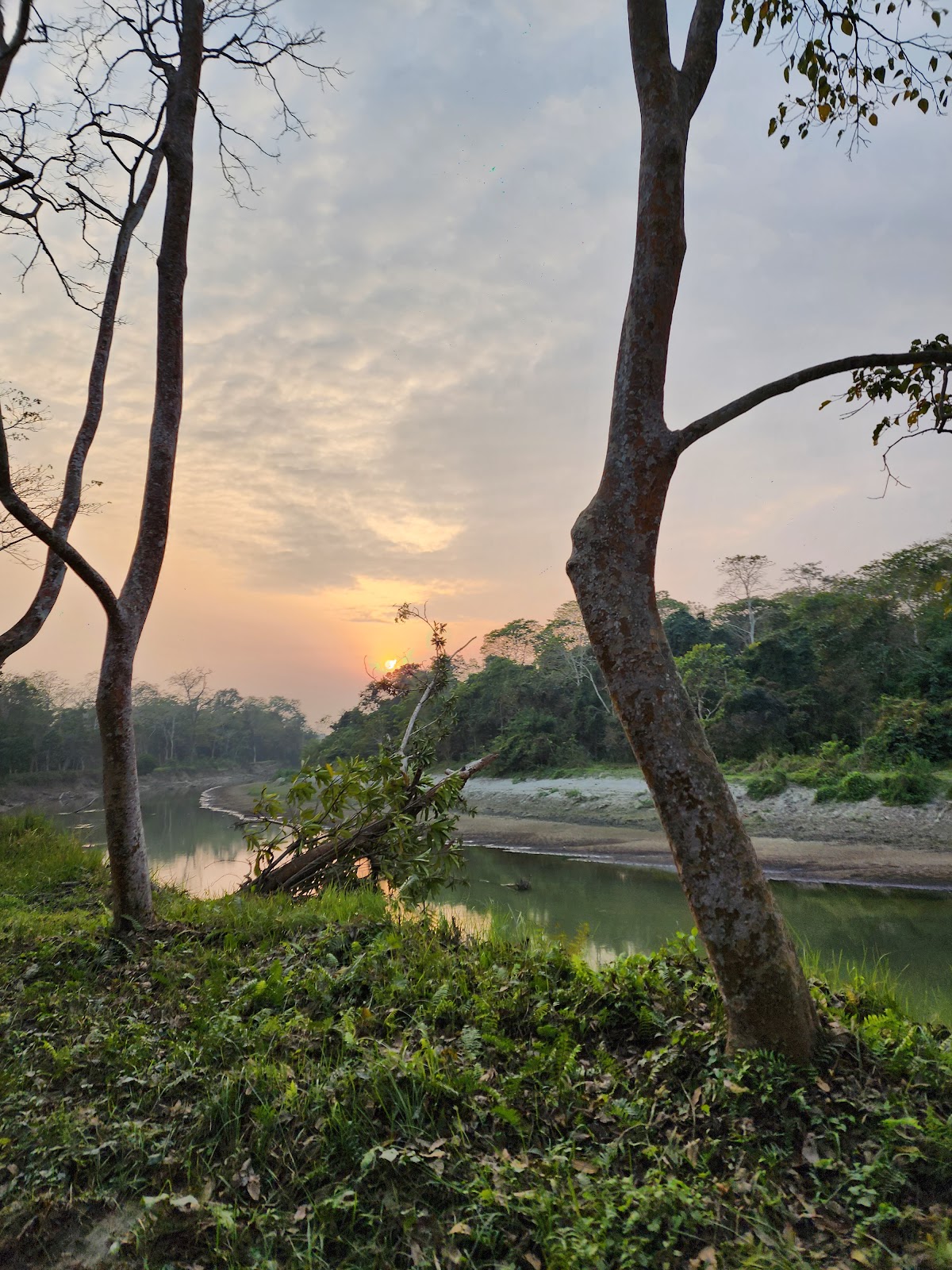 Kaziranga National Park
