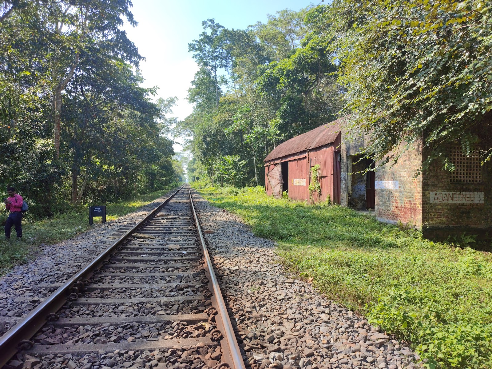 Hoollongapar Gibbon Sanctuary