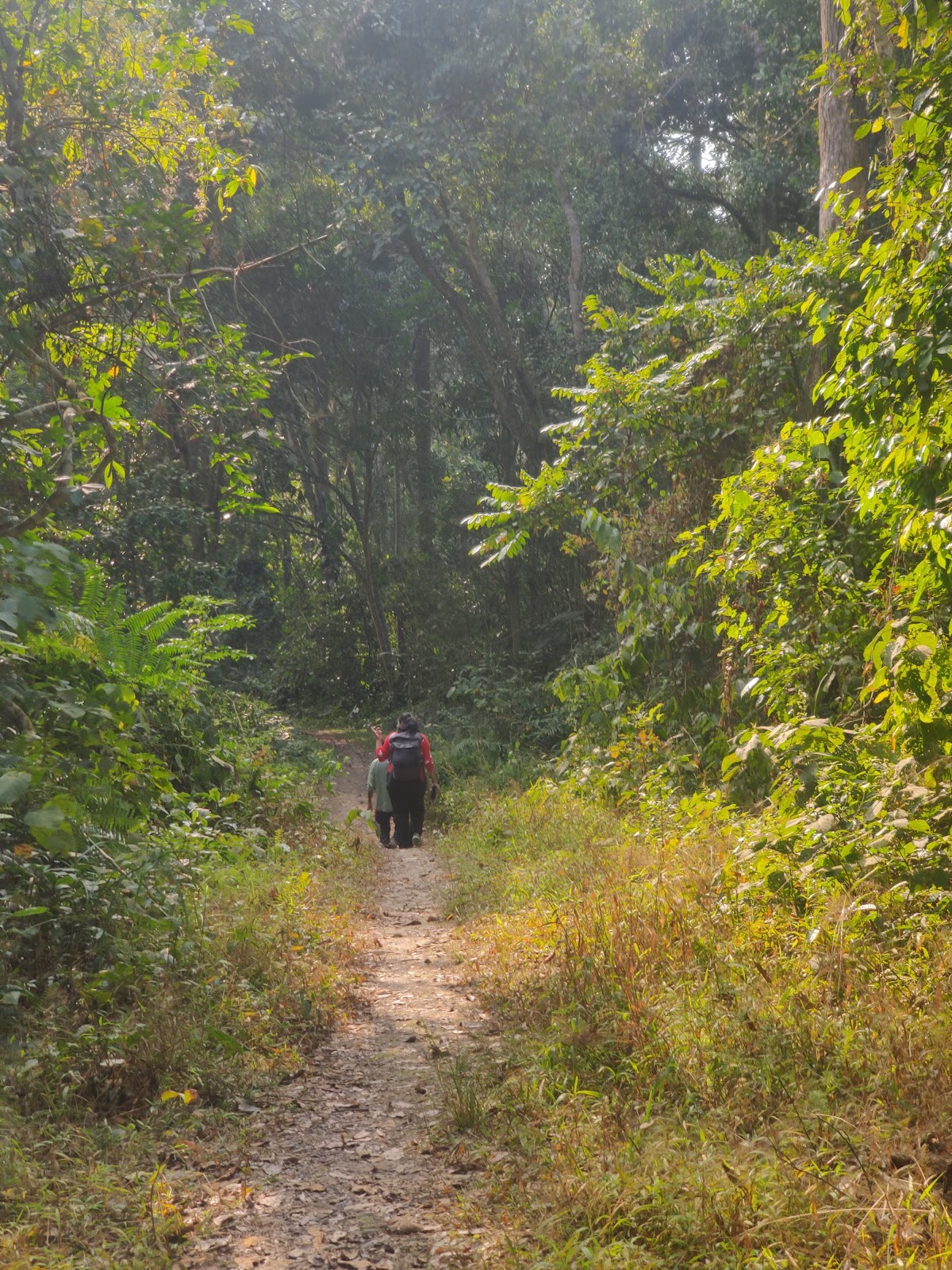 Hoollongapar Gibbon Sanctuary