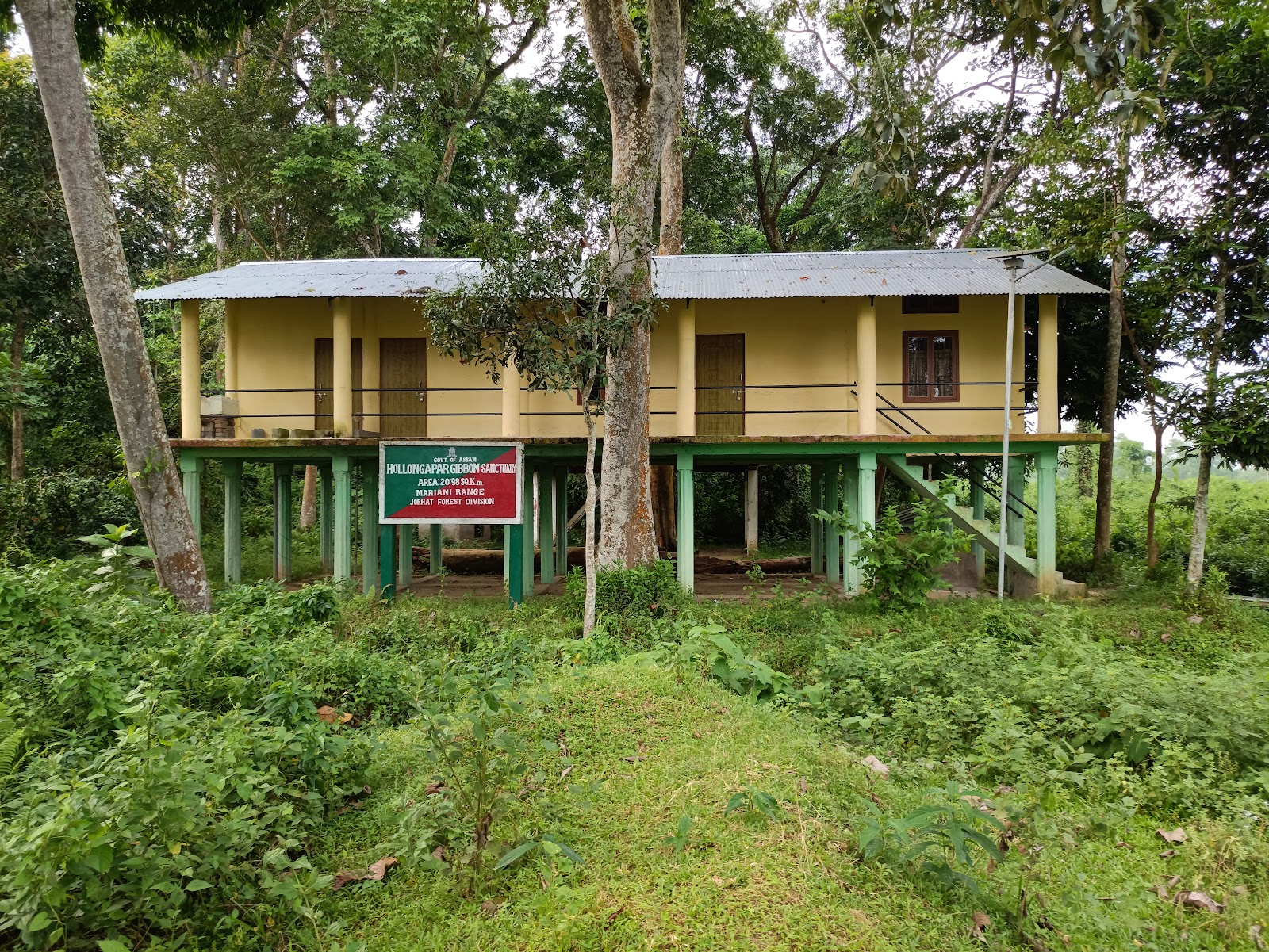 Hoollongapar Gibbon Sanctuary