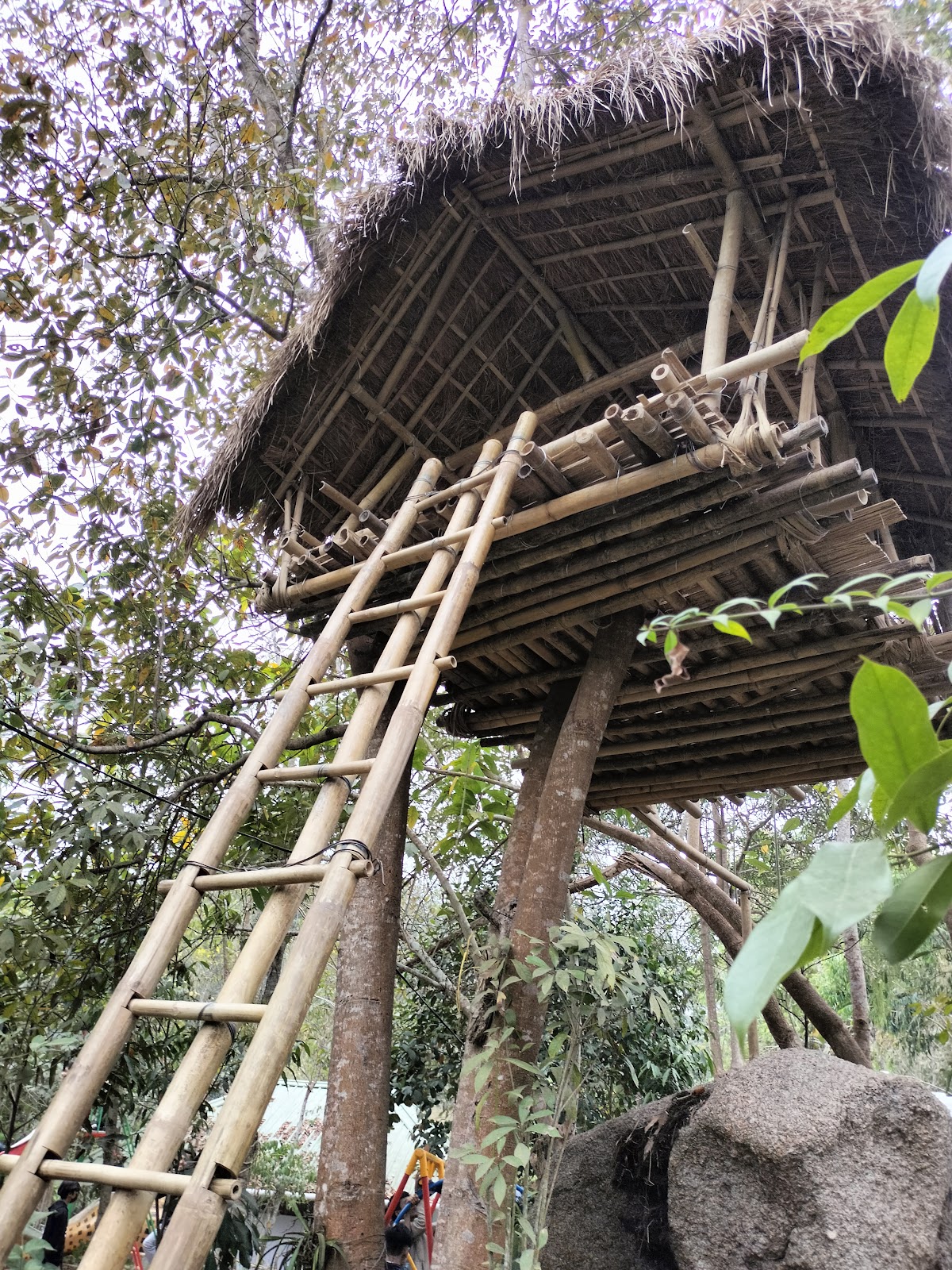 Kaziranga Orchid and Biodiversity Park