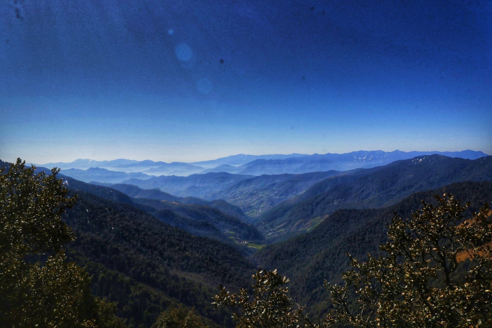 Kedarnath Wildlife Sanctuary