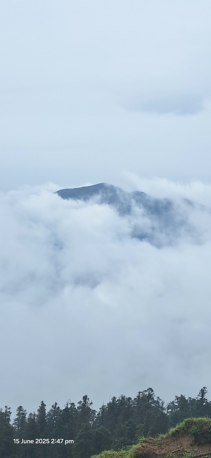 Kedarnath Wildlife Sanctuary