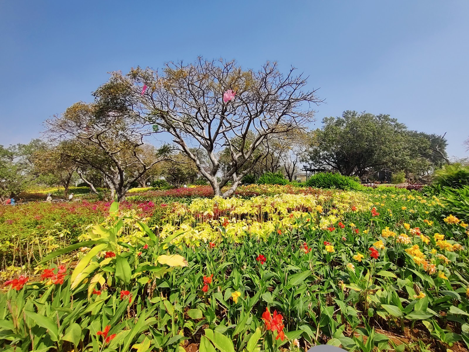 Osman Sagar Lake Gandipet
