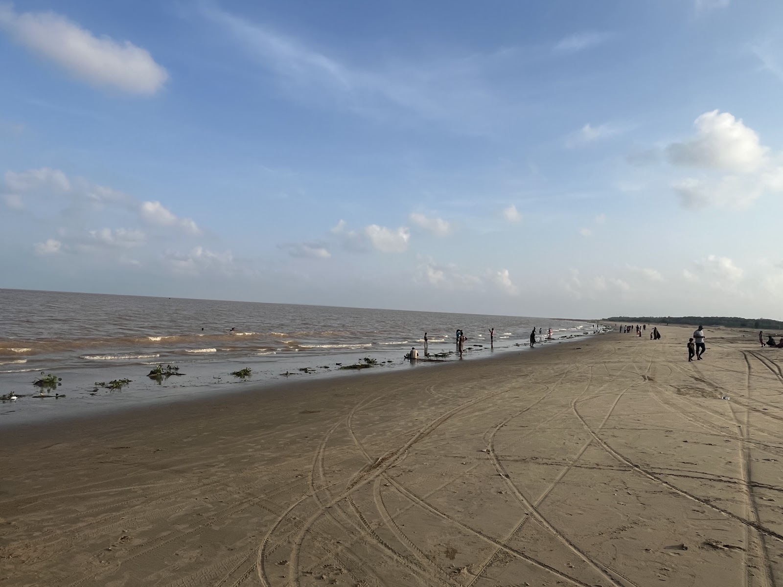 Bhitarkanika National Park