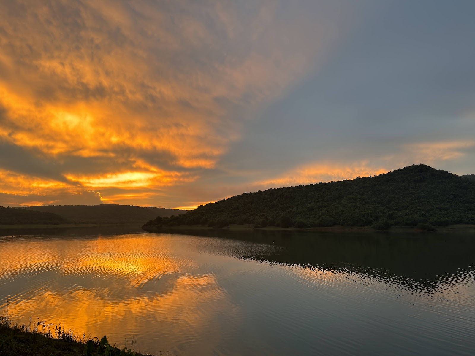 Chandaka Wildlife Sanctuary