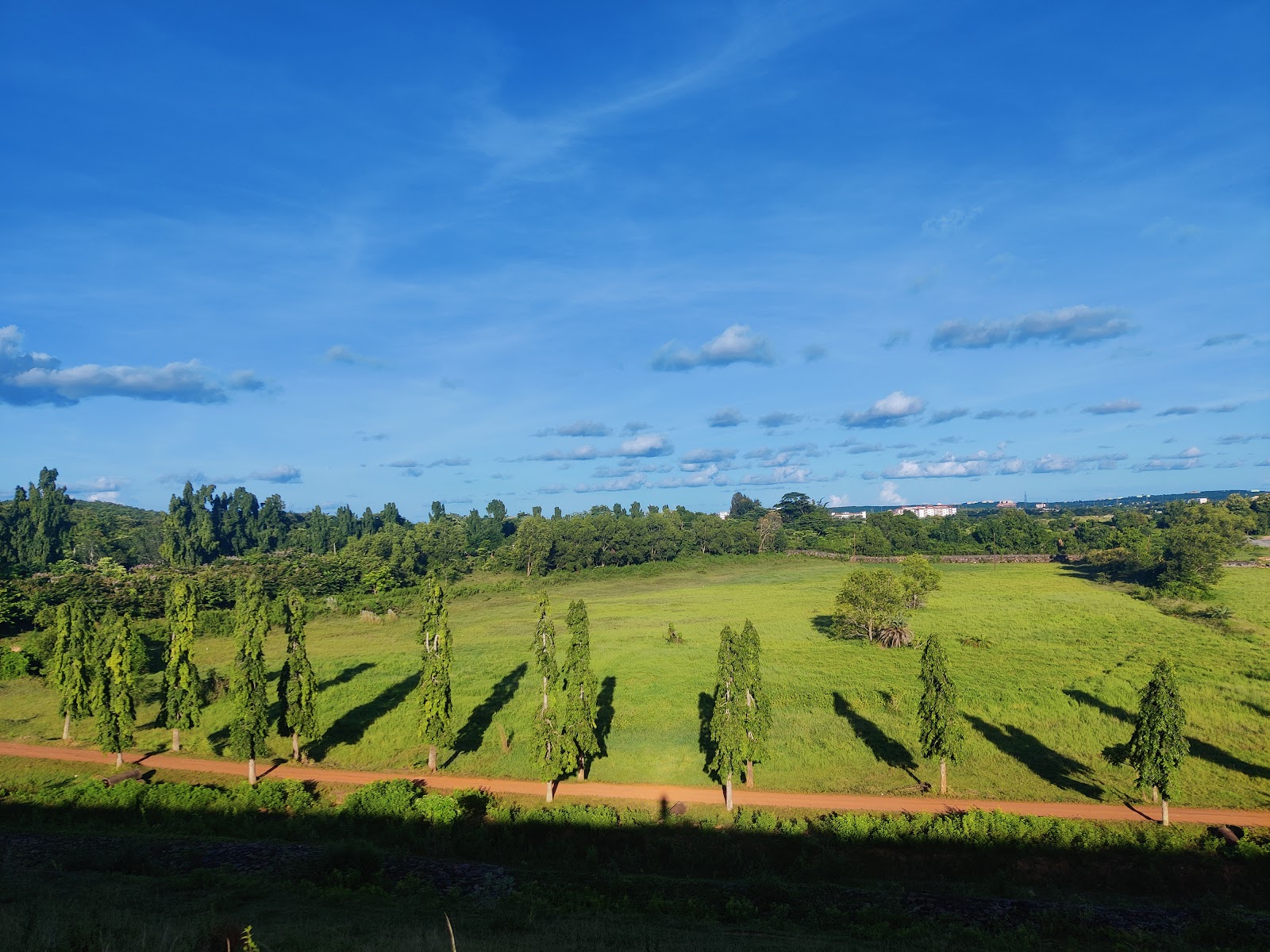 Chandaka Wildlife Sanctuary