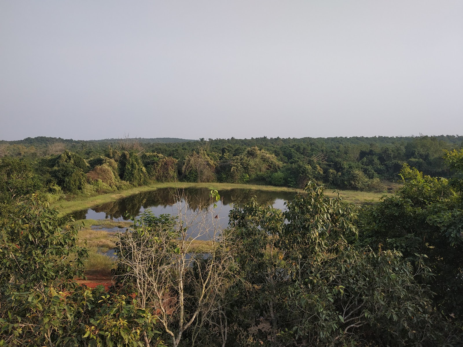 Chandaka Wildlife Sanctuary