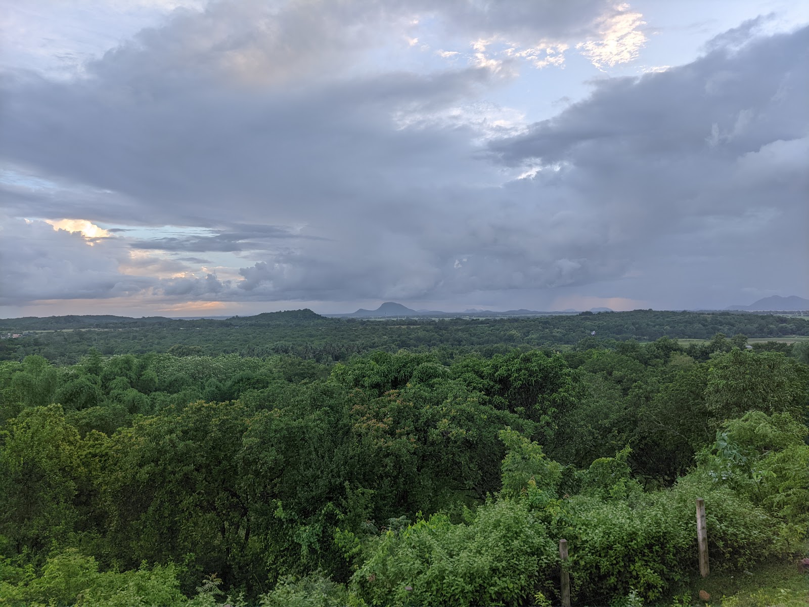 Chandaka Wildlife Sanctuary