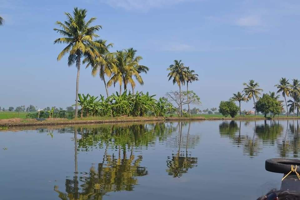 Alleppey (Alappuzha)