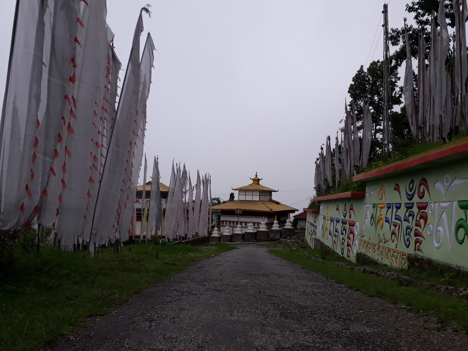 Terraced Fields Walk
