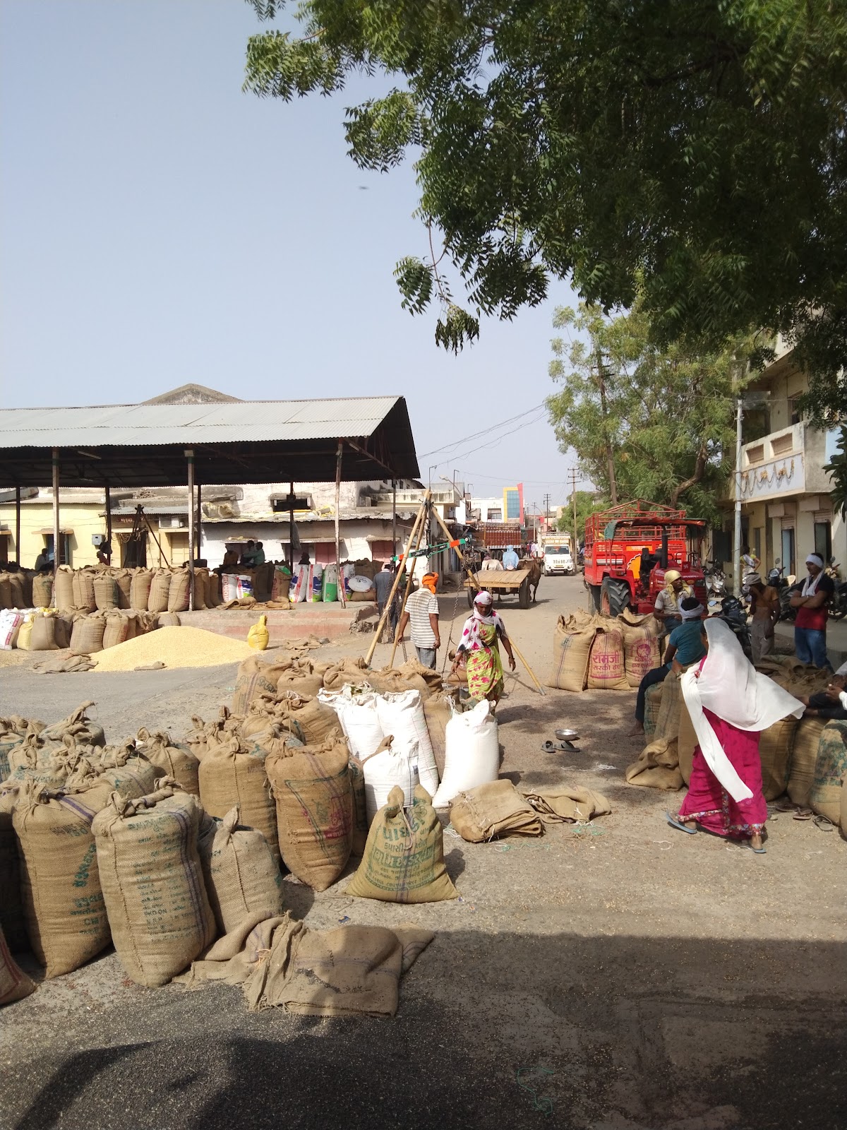 Khamgaon Cotton Market