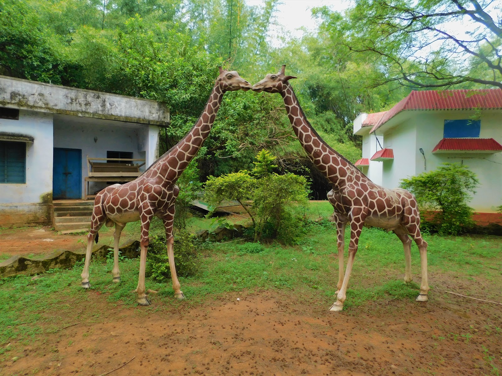 Kinnerasani Wildlife Sanctuary