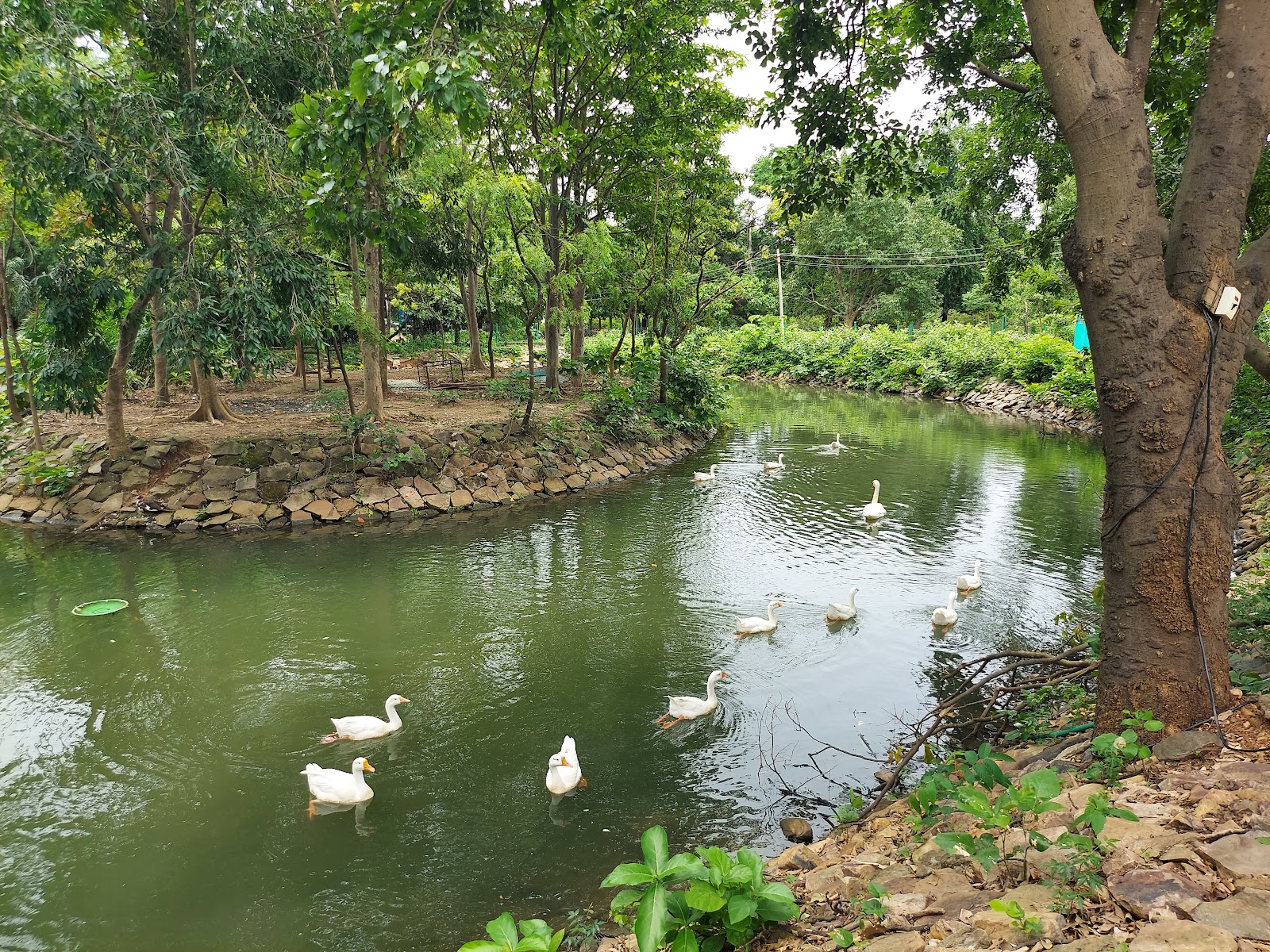 Kinnerasani Wildlife Sanctuary