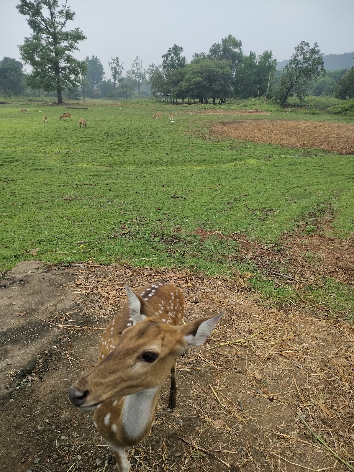 Kinnerasani Wildlife Sanctuary
