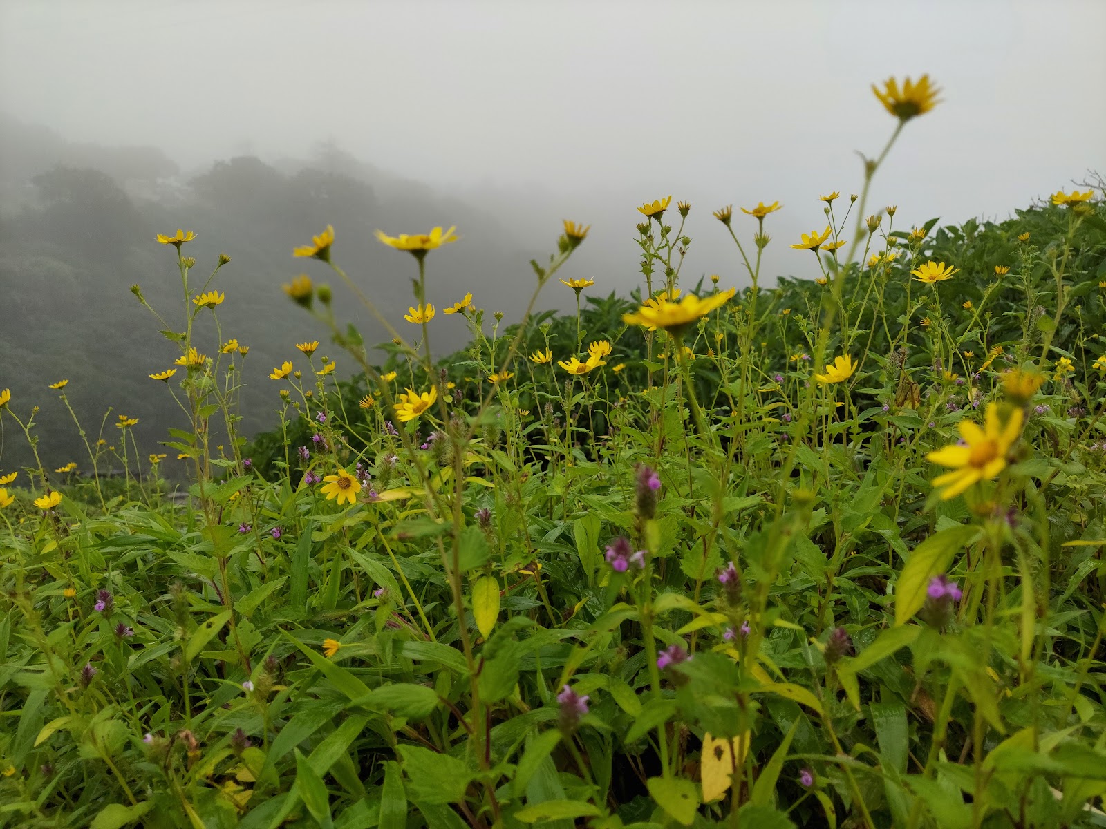 Tiger Point Khandala